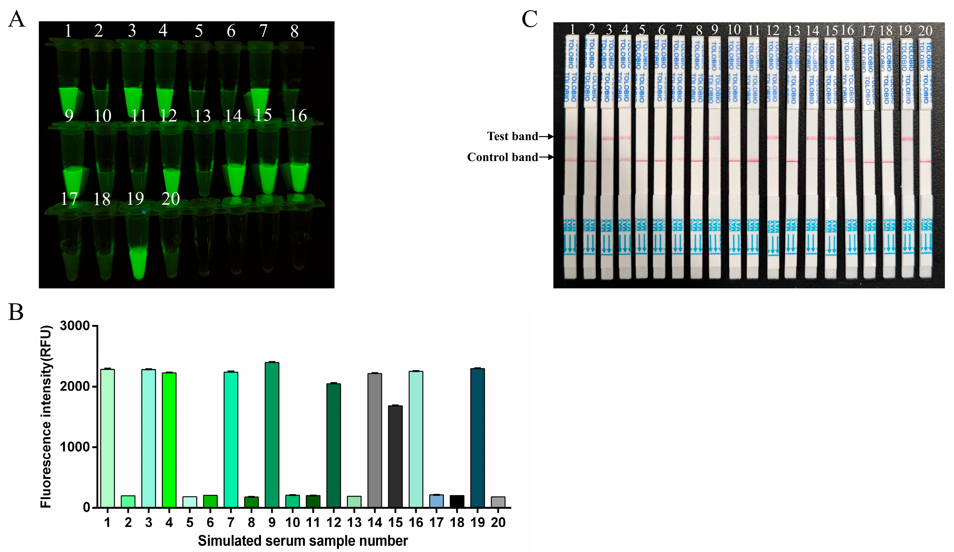 Viruses 17 00721 g009