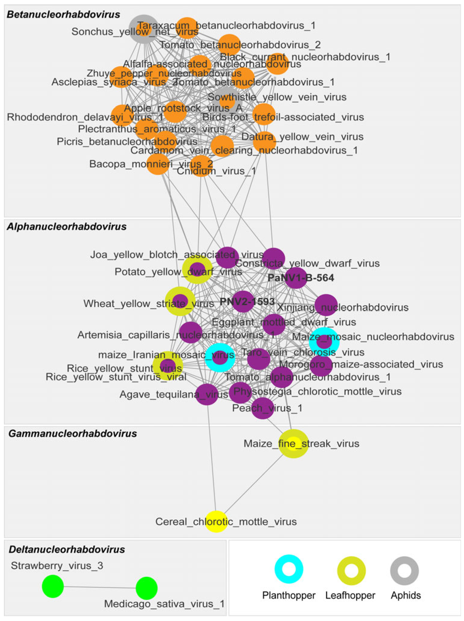 Viruses 17 00725 g005