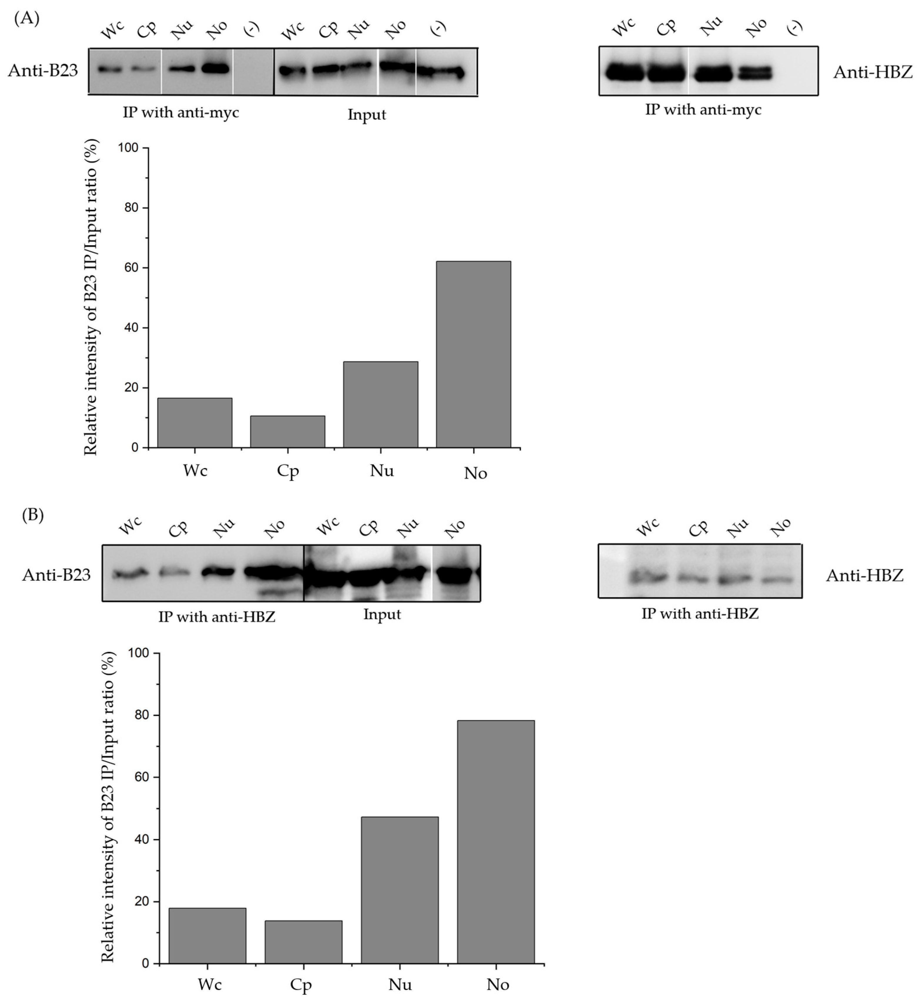 Viruses 17 00727 g003a