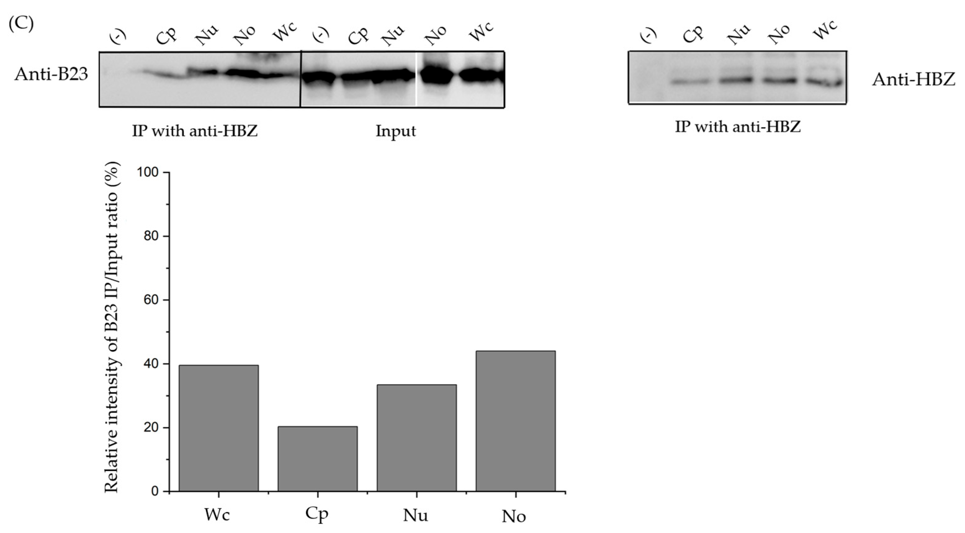 Viruses 17 00727 g003b