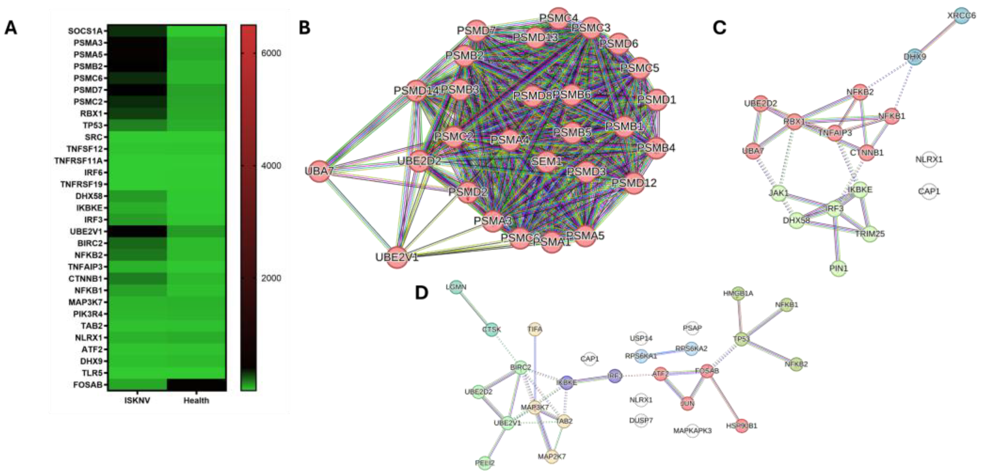 Viruses 17 00728 g005 Viruses 17 00728 g005