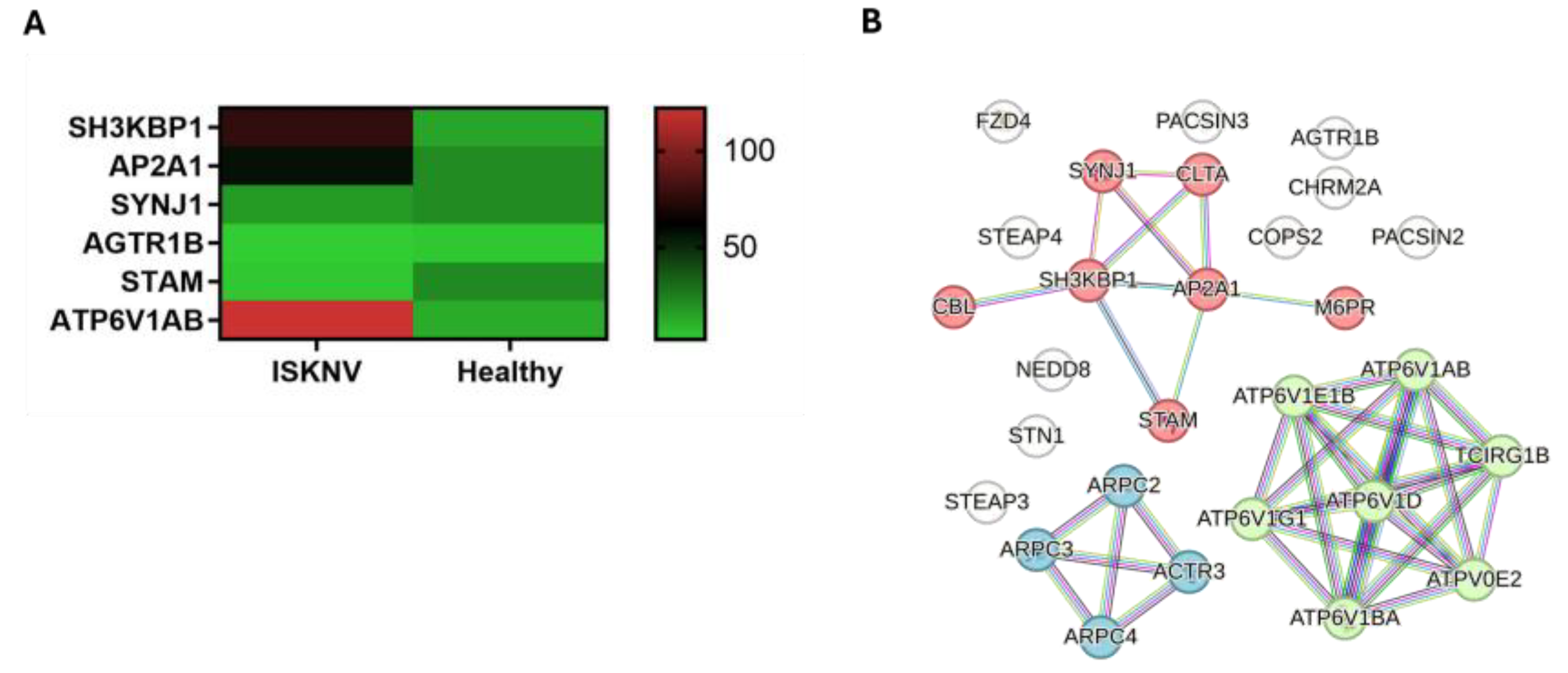 Viruses 17 00728 g006 Viruses 17 00728 g006