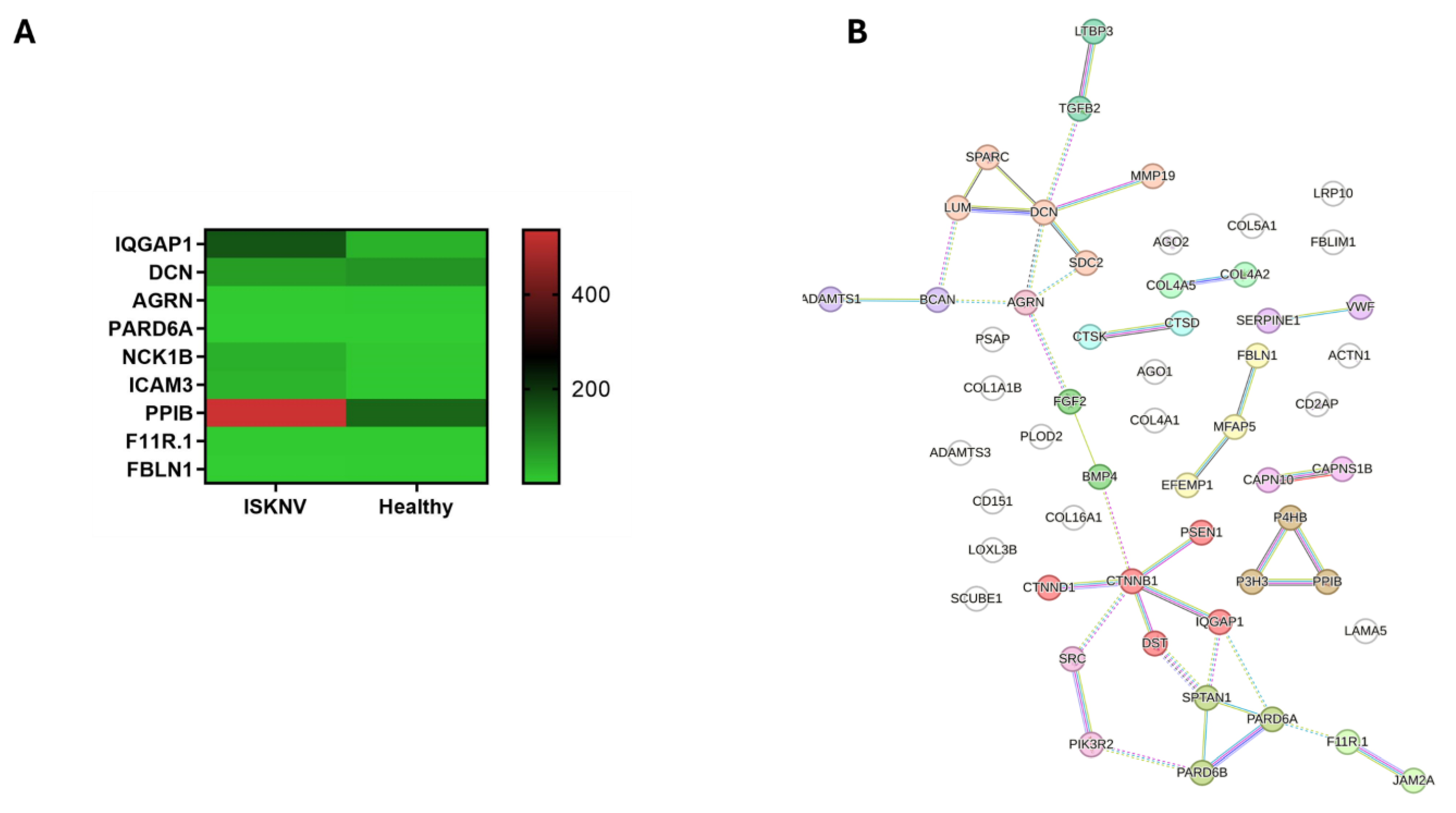 Viruses 17 00728 g007 Viruses 17 00728 g007