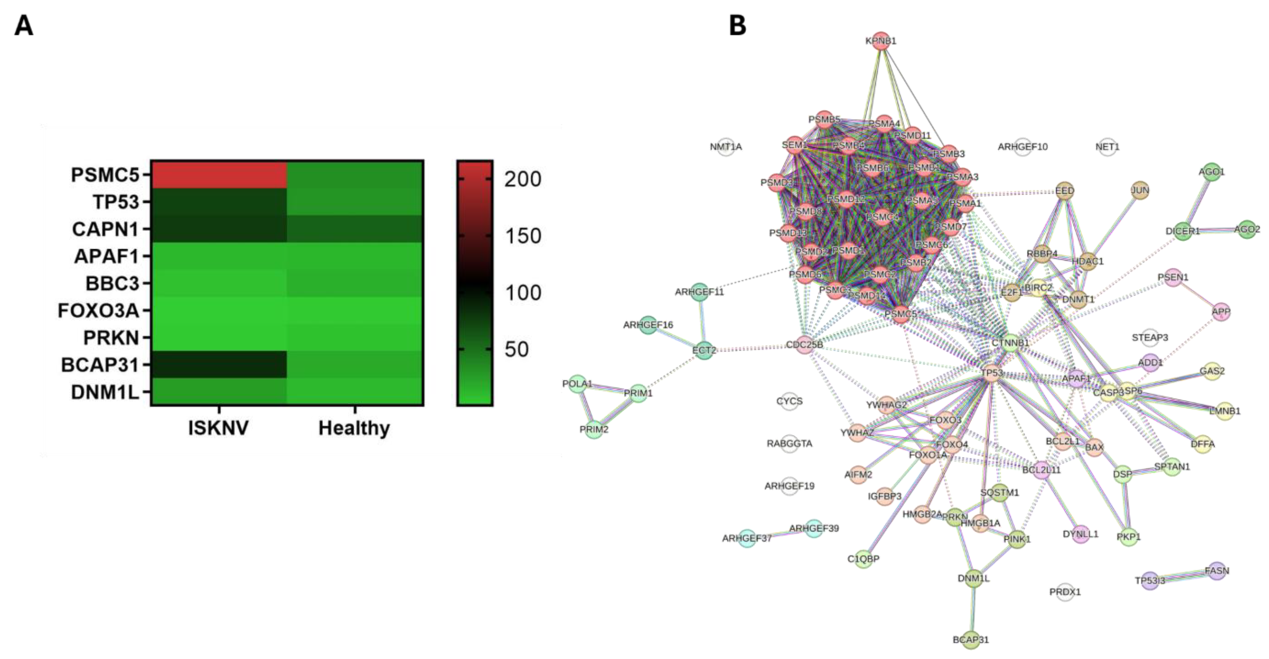 Viruses 17 00728 g008 Viruses 17 00728 g008