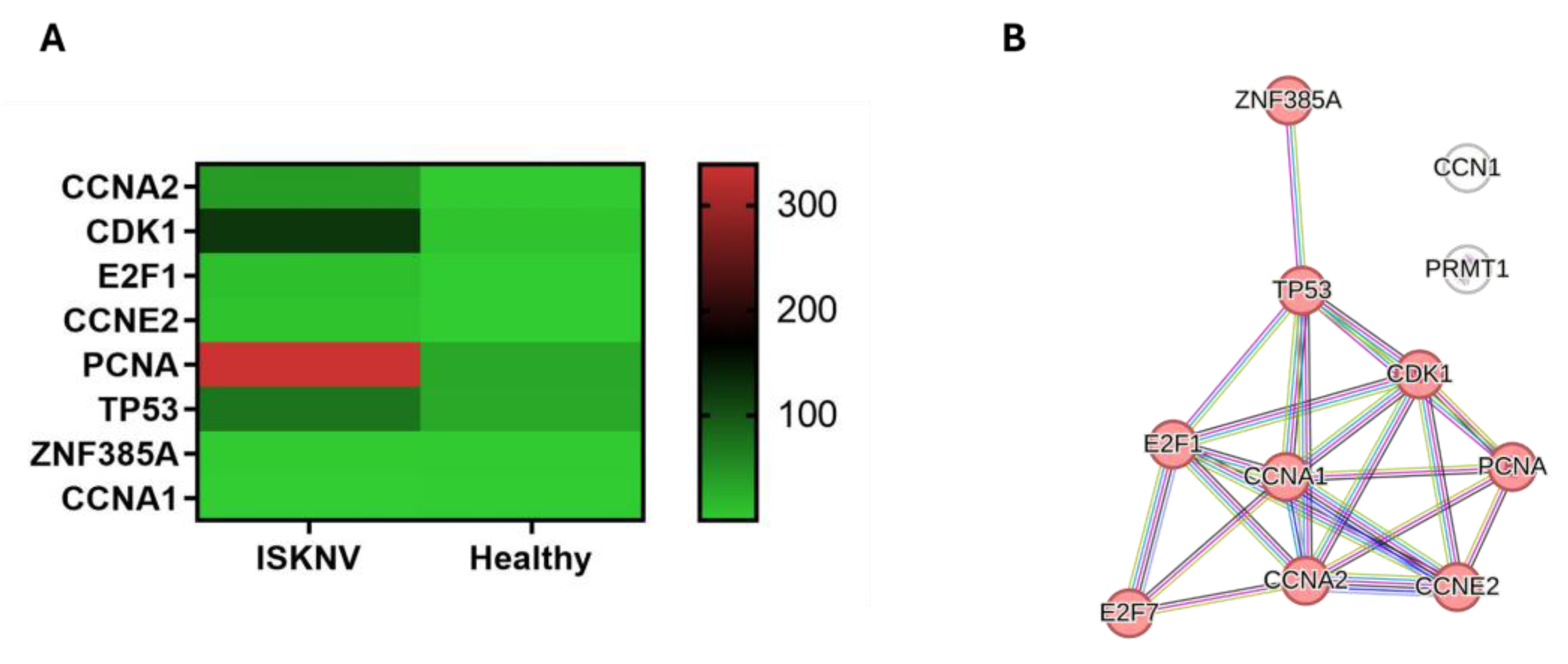 Viruses 17 00728 g009 Viruses 17 00728 g009