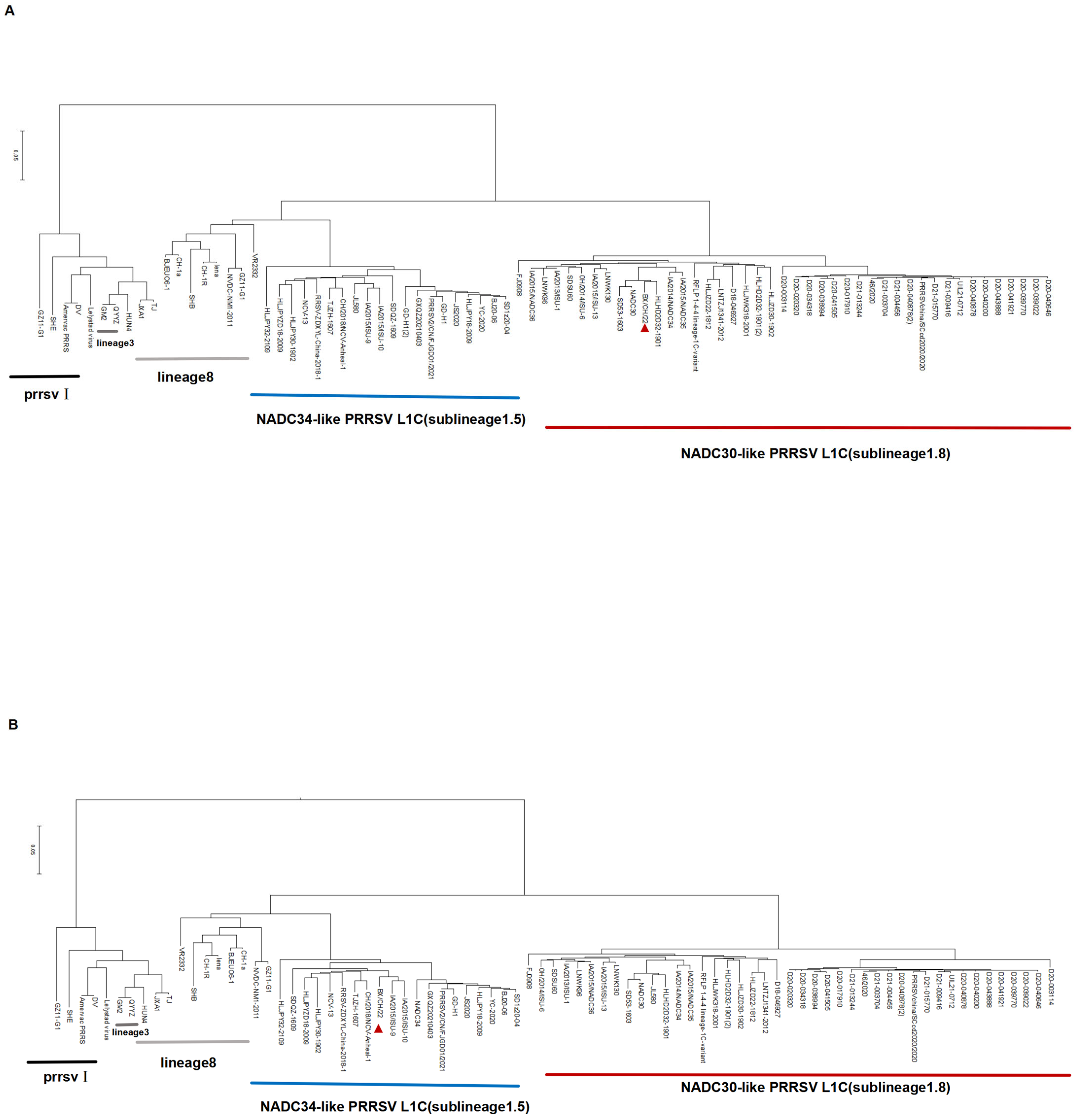 Viruses 17 00729 g002