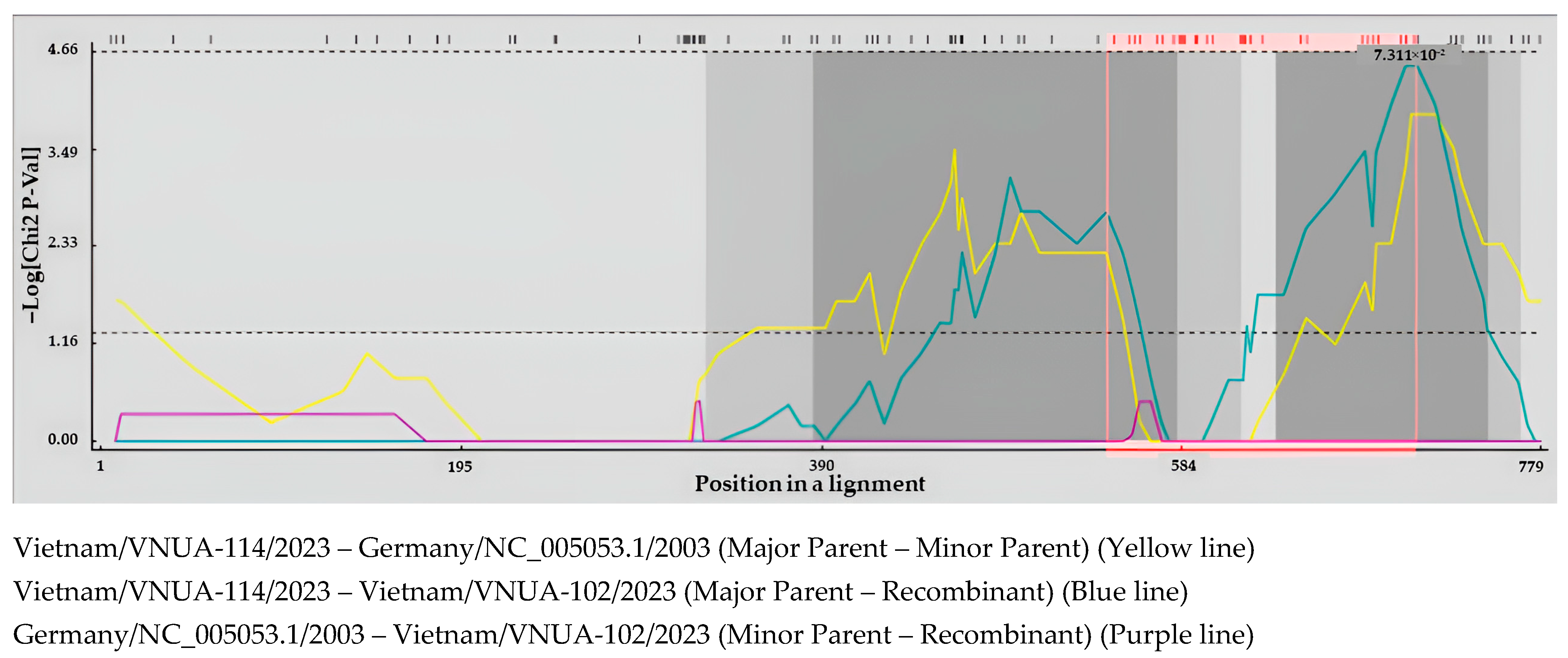 Viruses 17 00732 g003