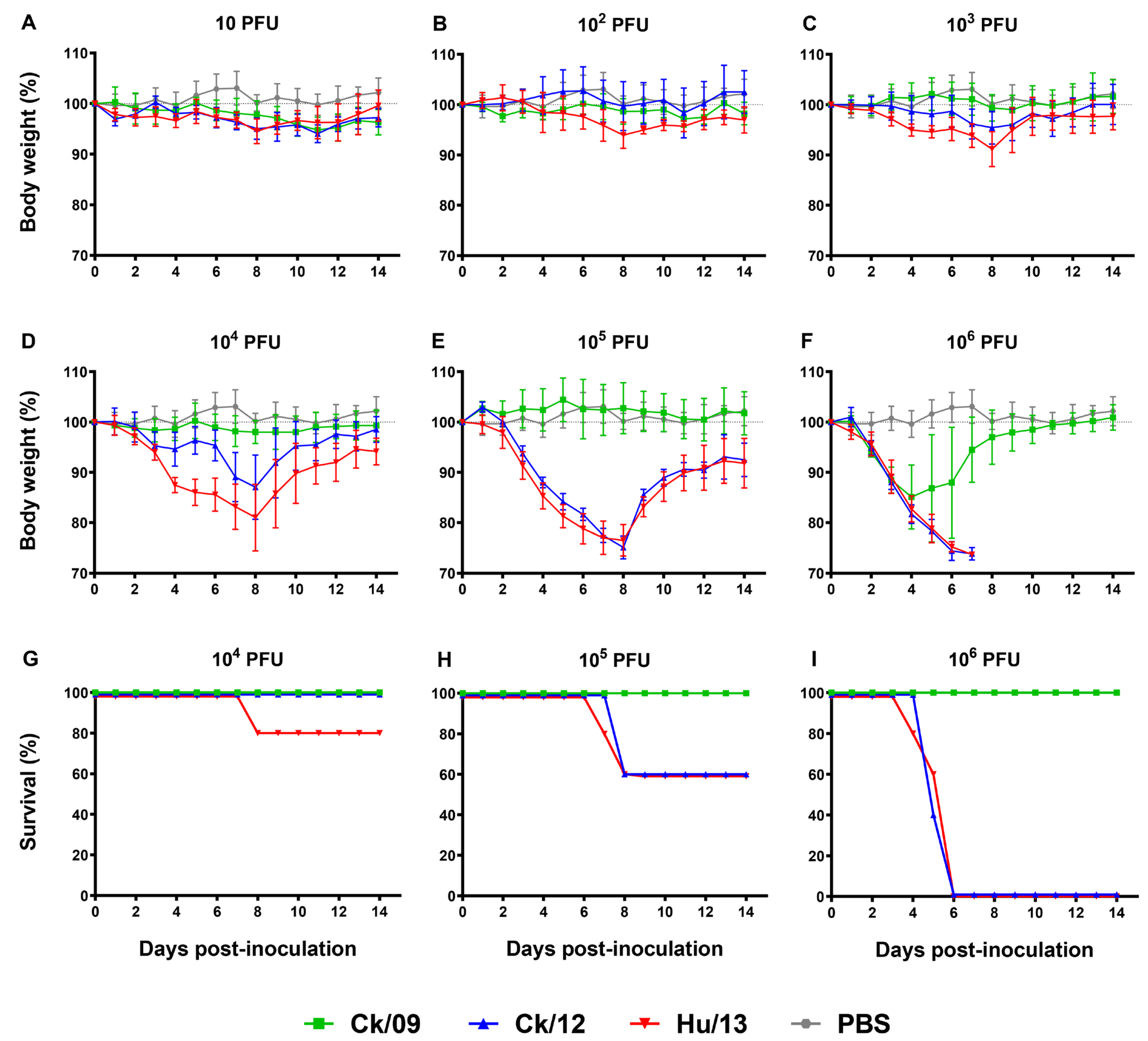 Viruses 17 00733 g002