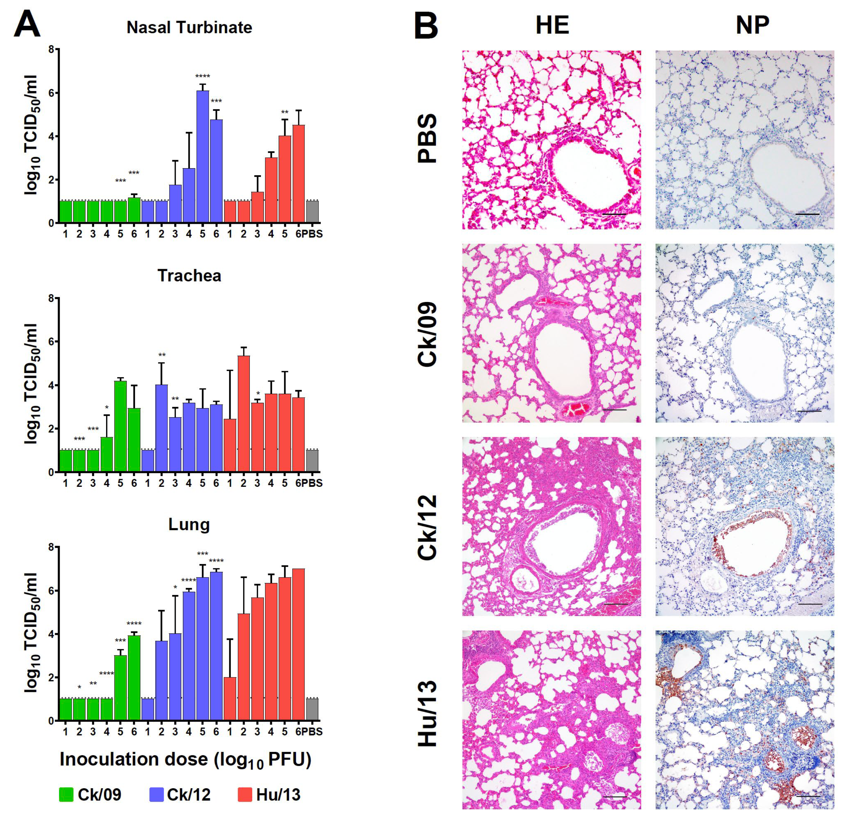 Viruses 17 00733 g003