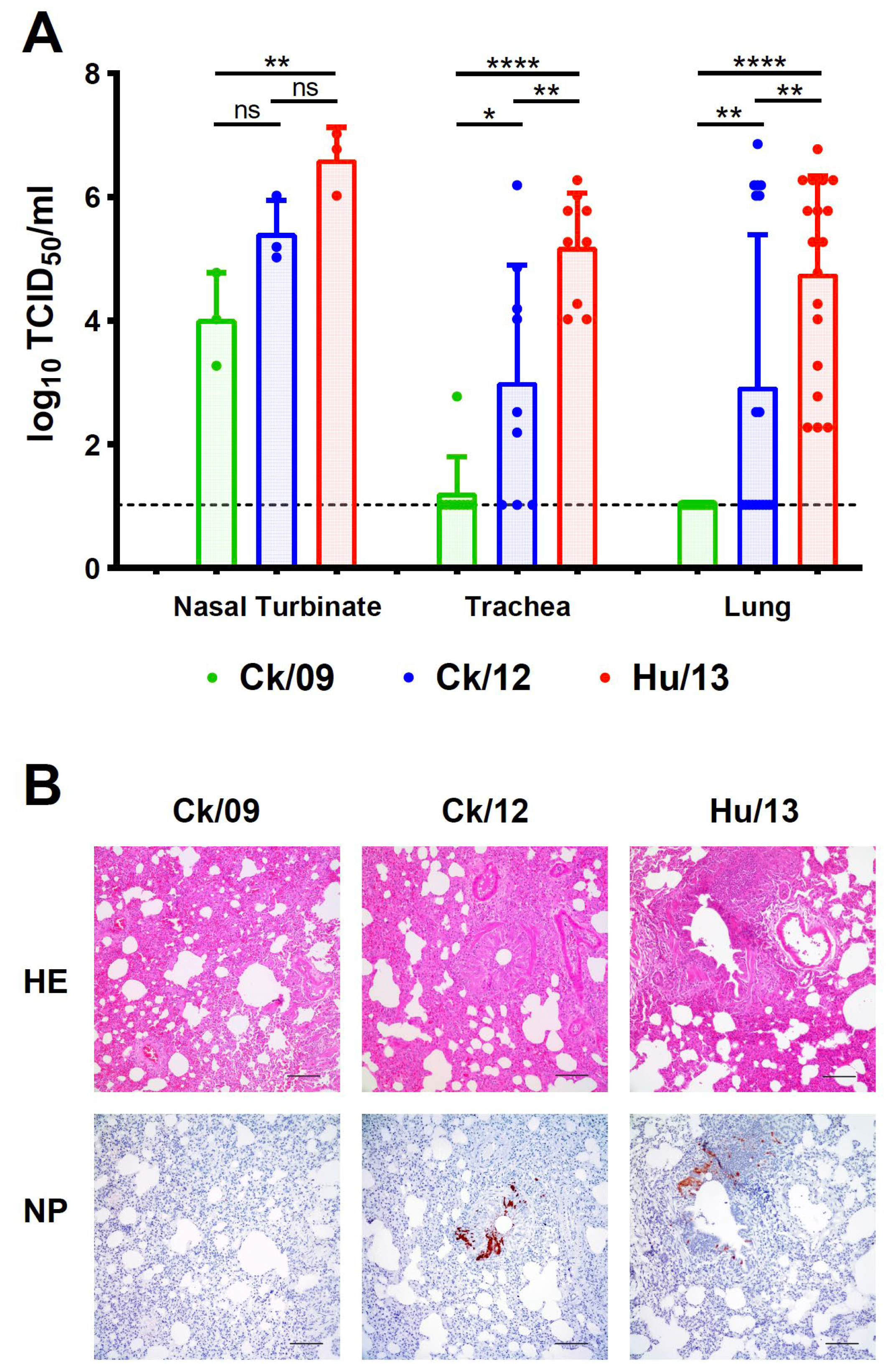 Viruses 17 00733 g006