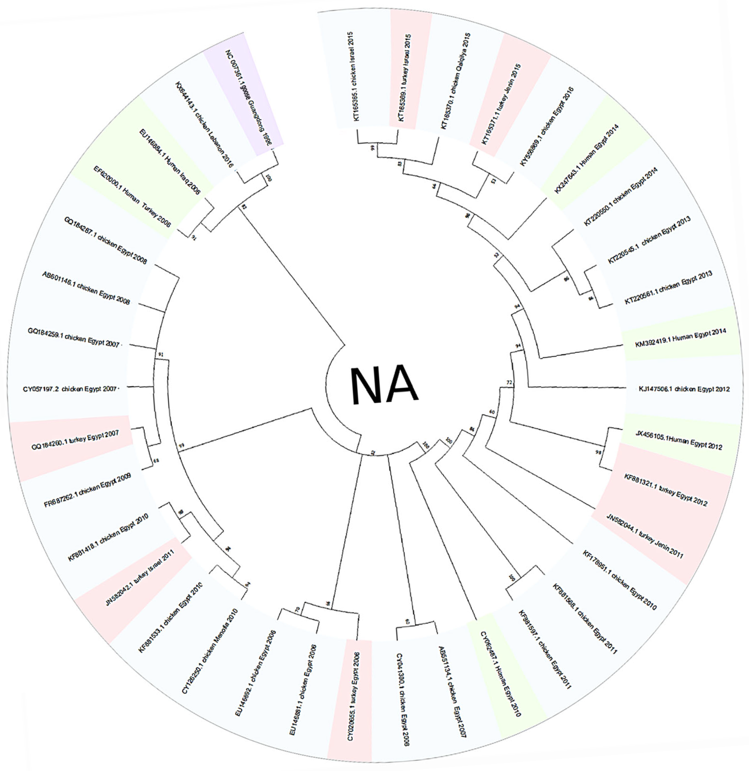 Viruses 17 00734 g002