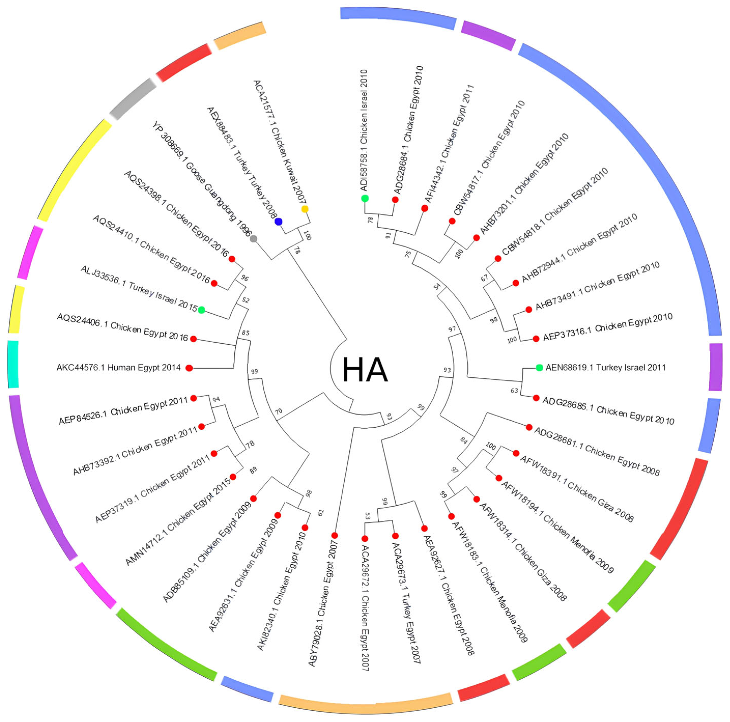 Viruses 17 00734 g003