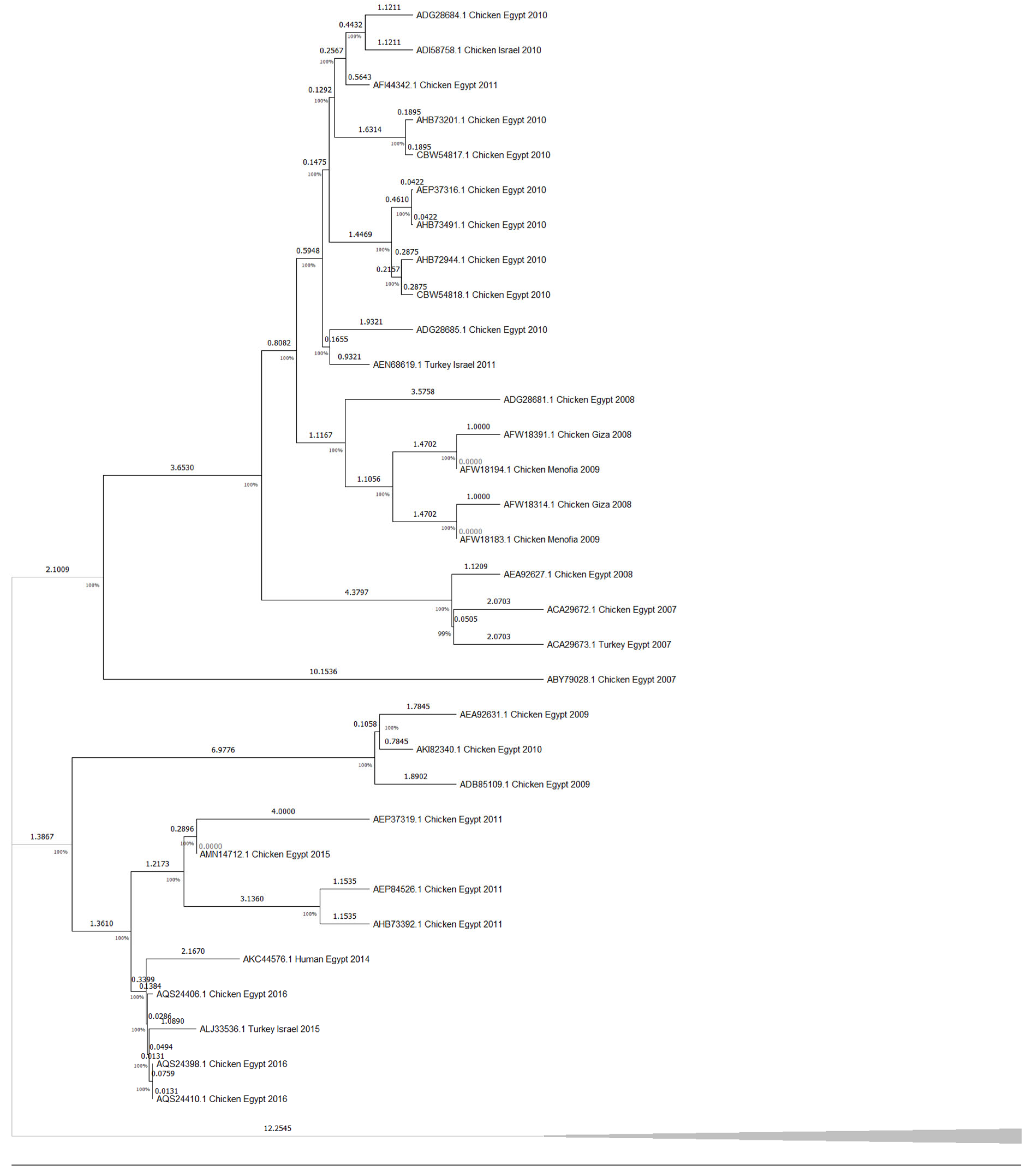 Viruses 17 00734 g004