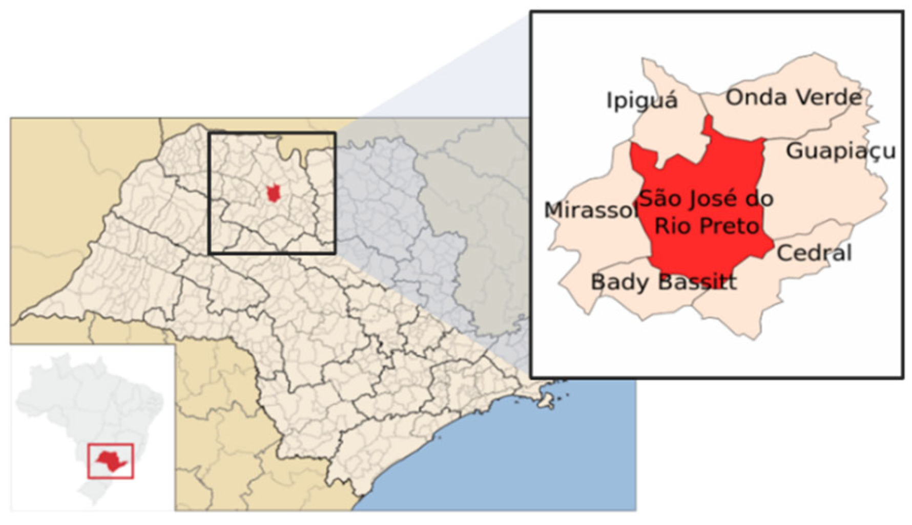 Viruses 17 00736 g001