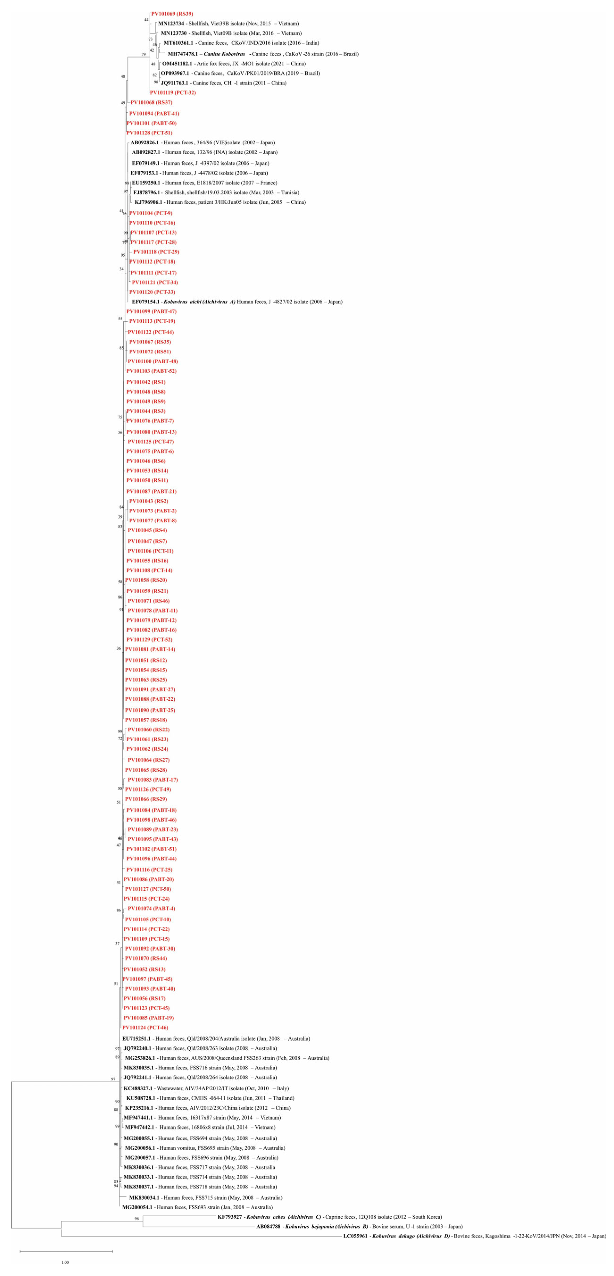 Viruses 17 00736 g004