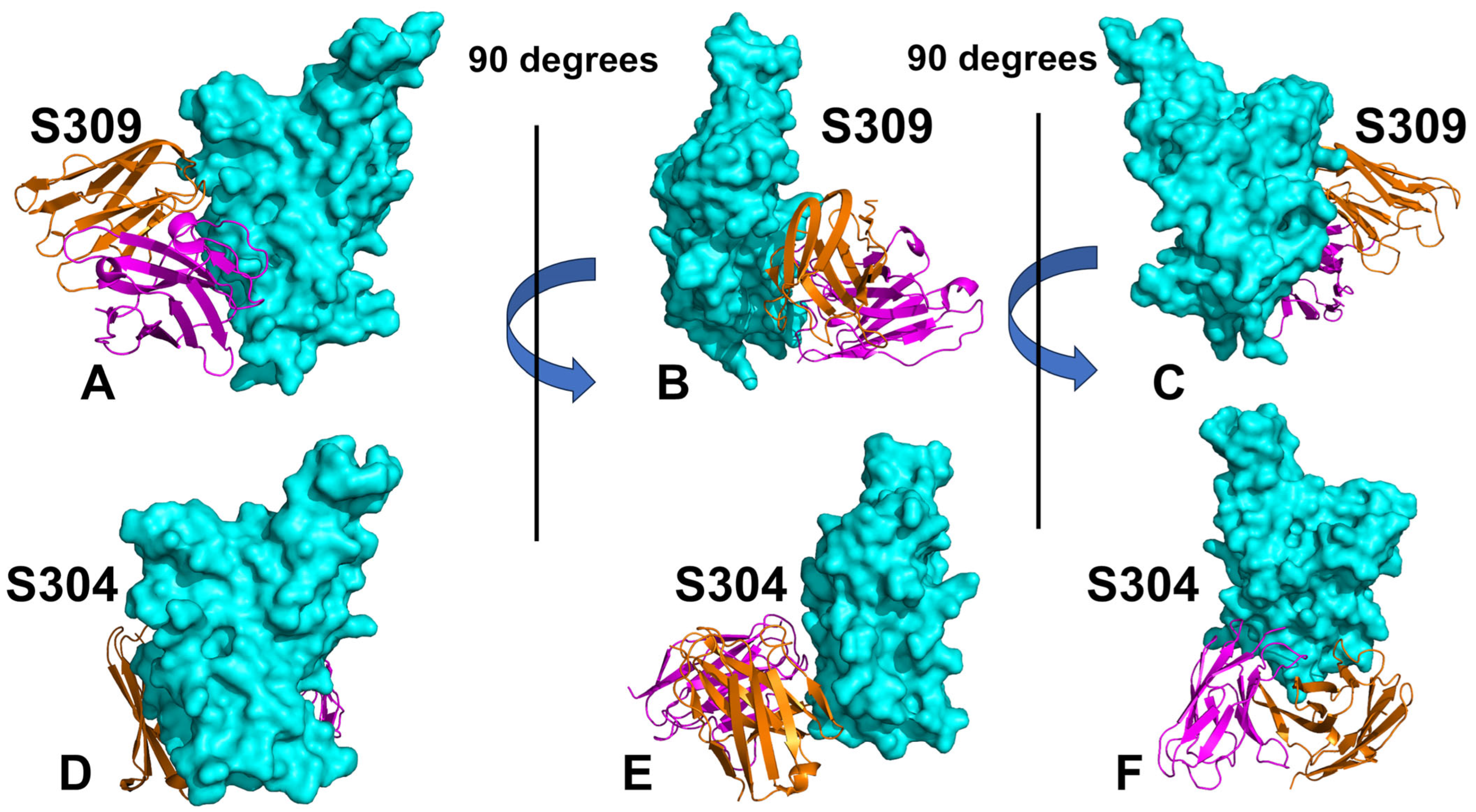 Viruses 17 00741 g001