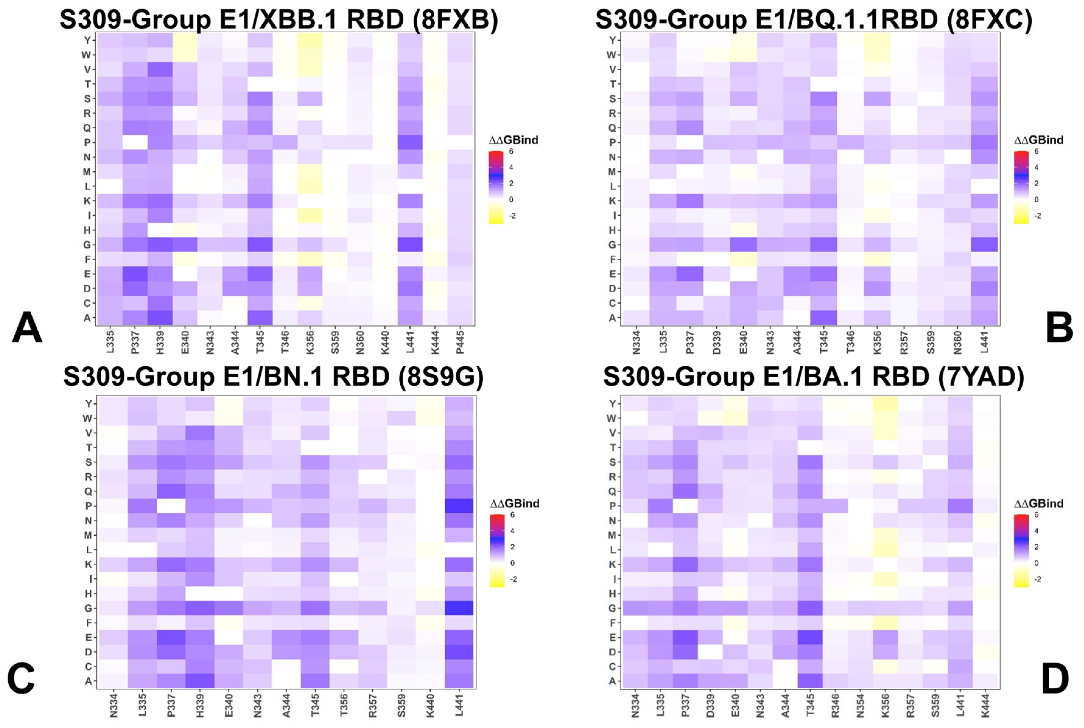 Viruses 17 00741 g005