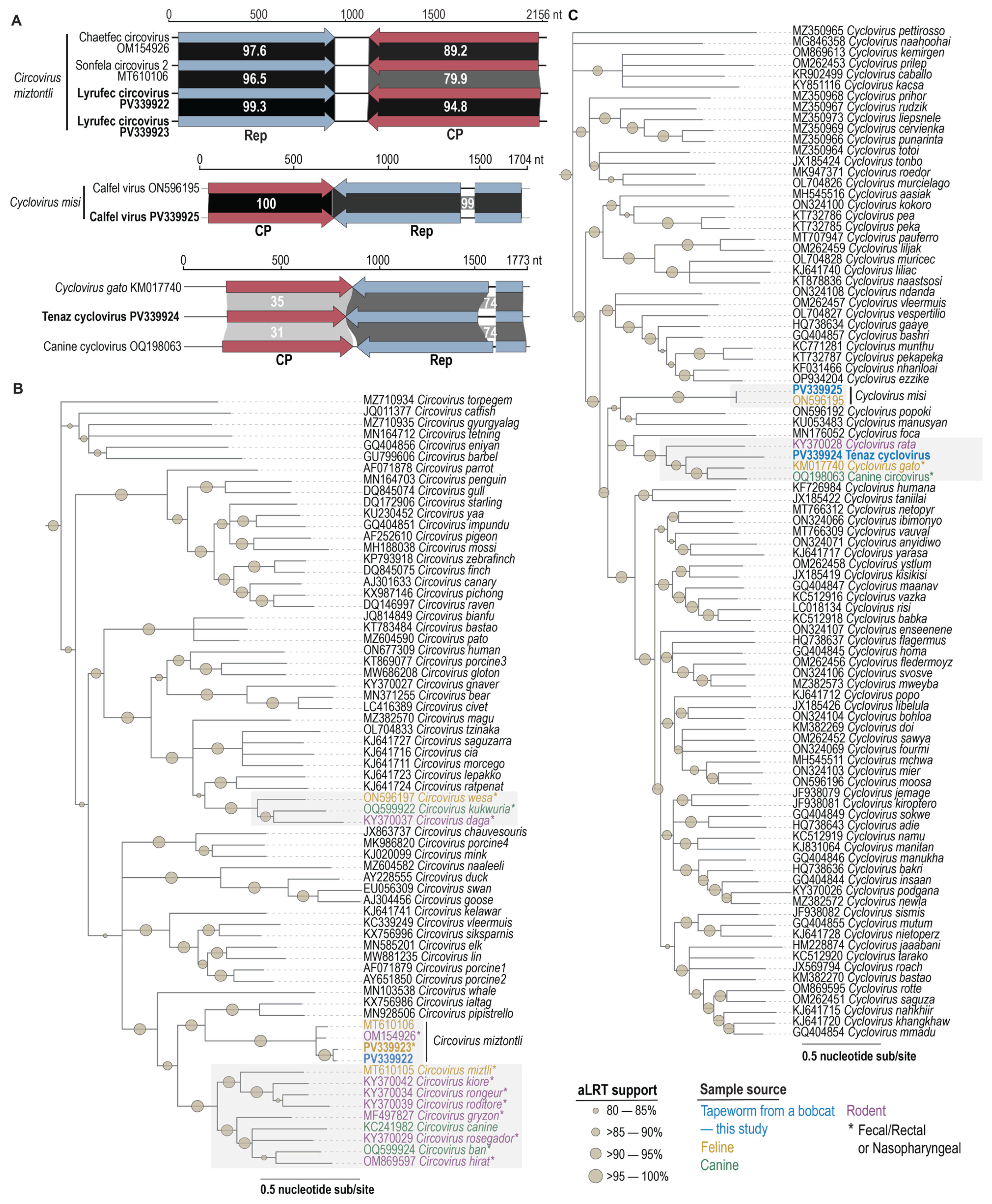 Viruses 17 00745 g002