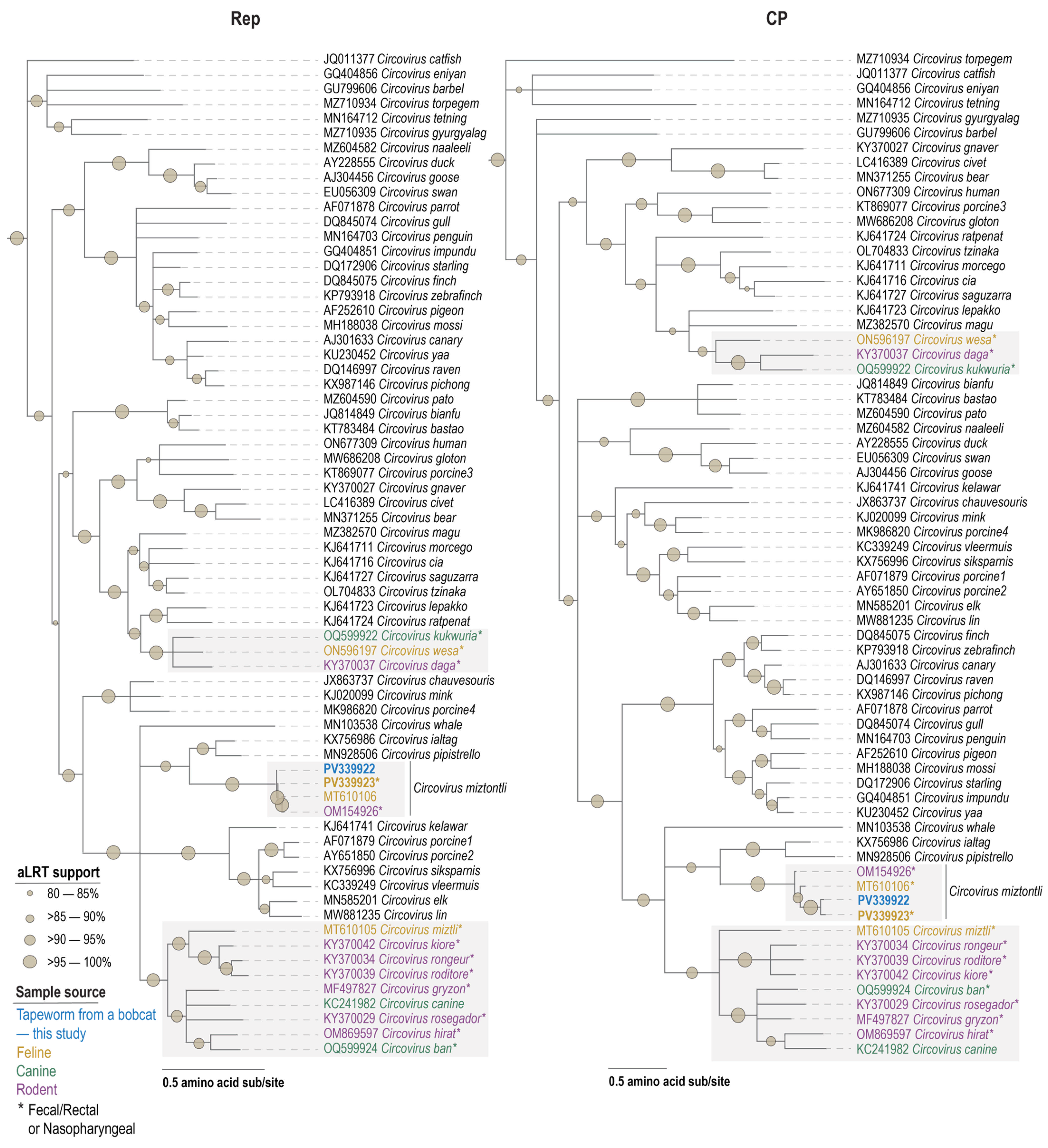 Viruses 17 00745 g003