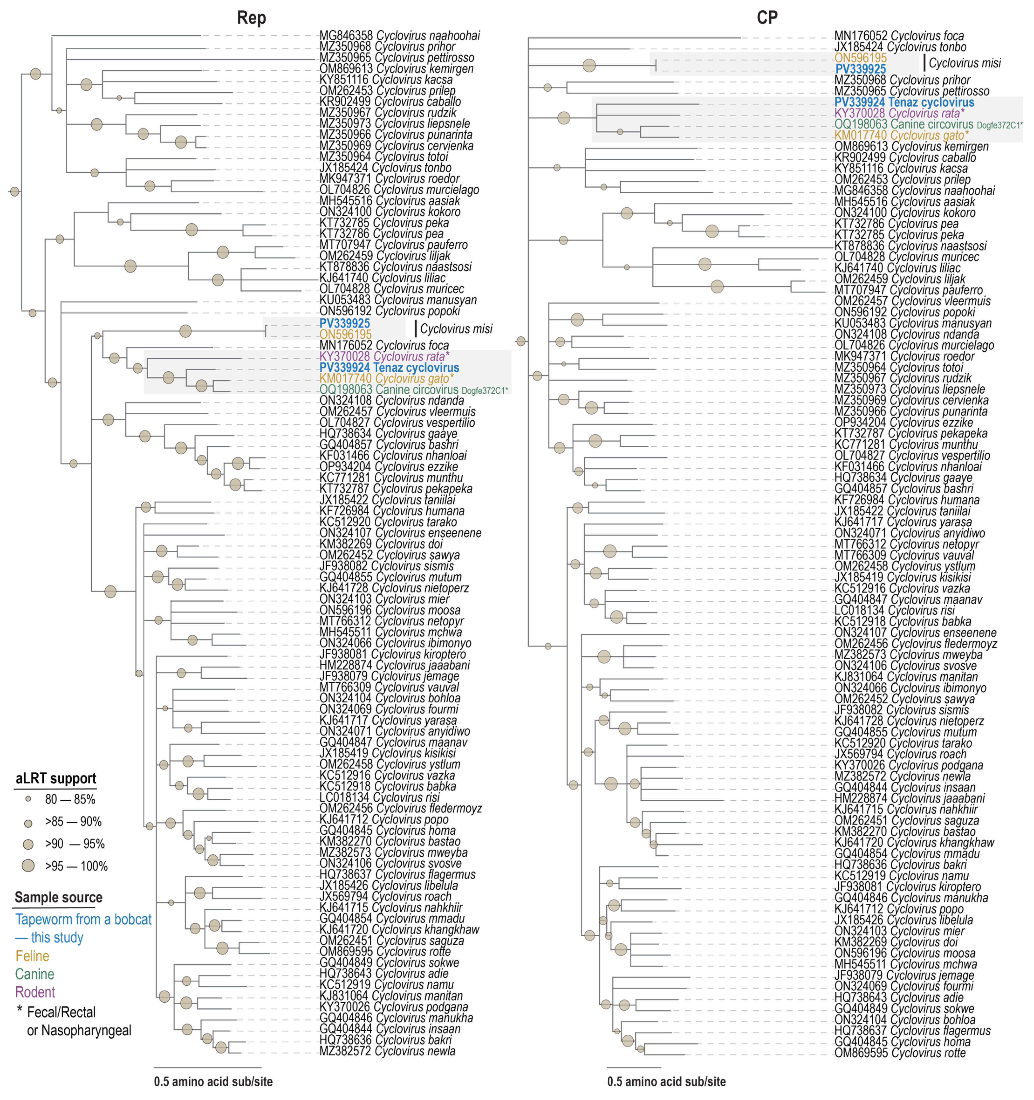 Viruses 17 00745 g004