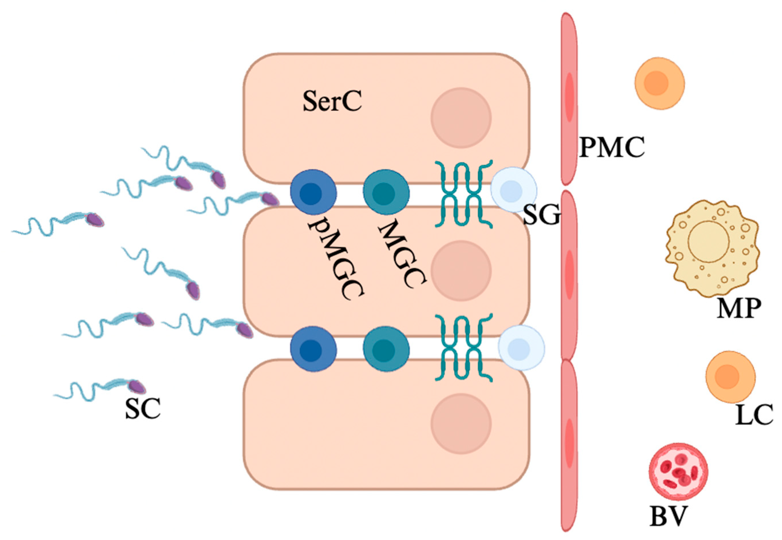 Viruses 17 00747 g001