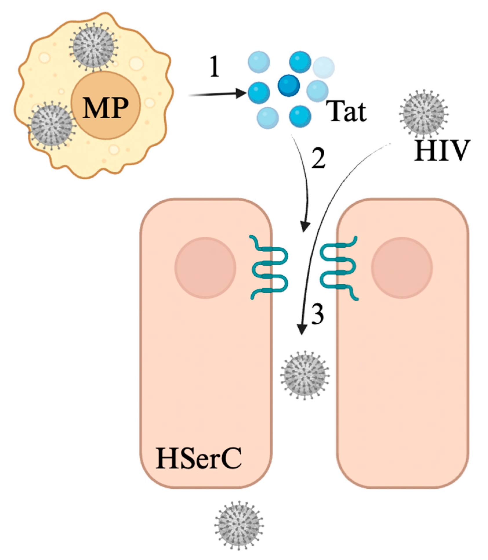 Viruses 17 00747 g004