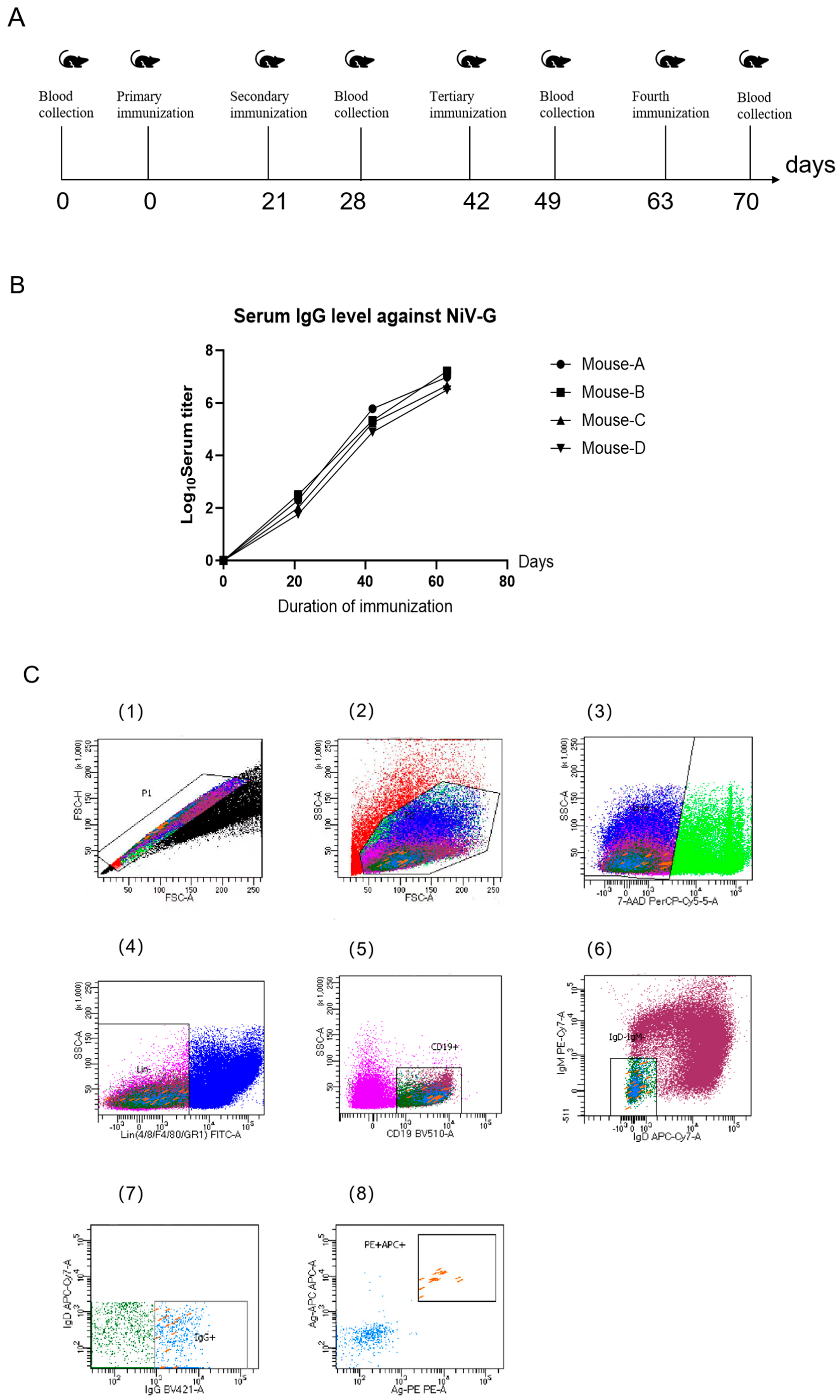 Viruses 17 00748 g002