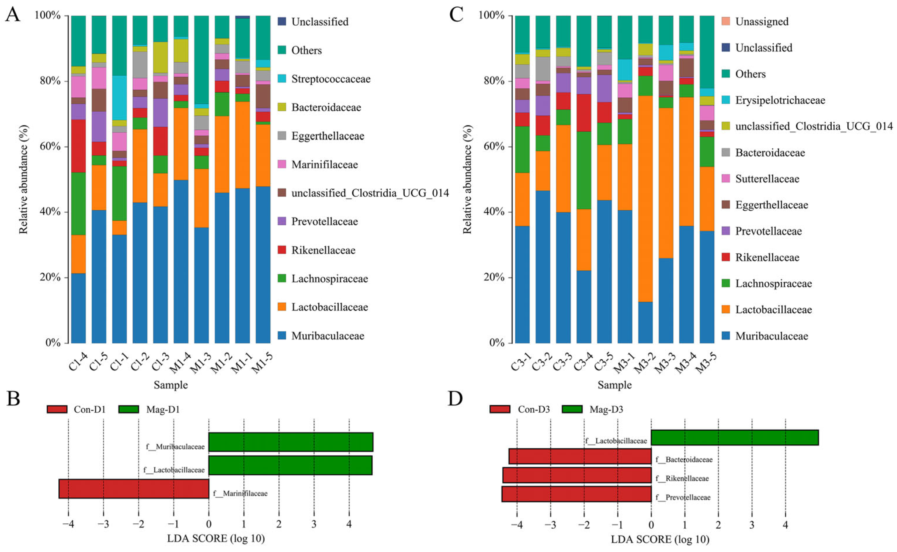 Viruses 17 00750 g008