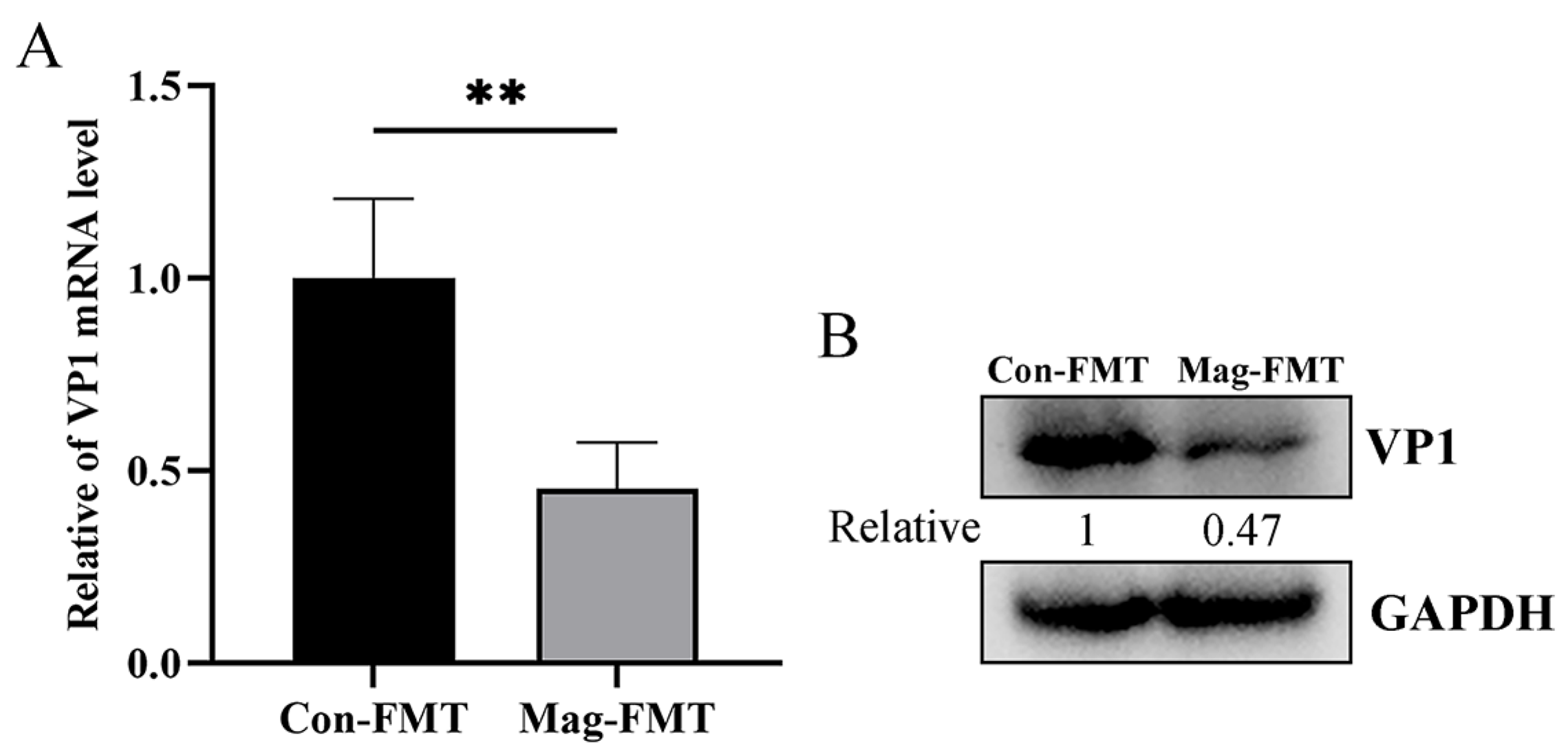 Viruses 17 00750 g011