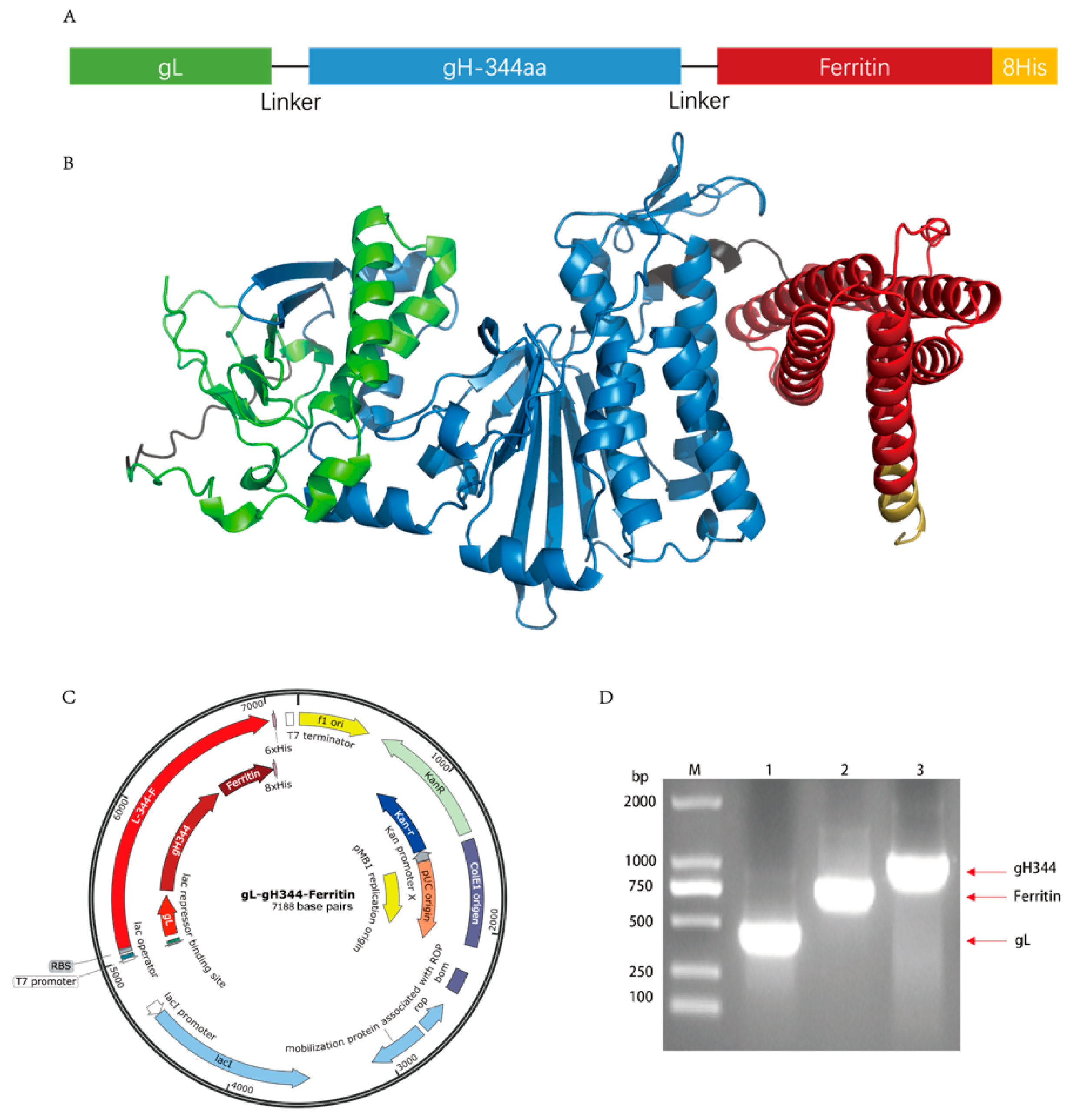 Viruses 17 00754 g003