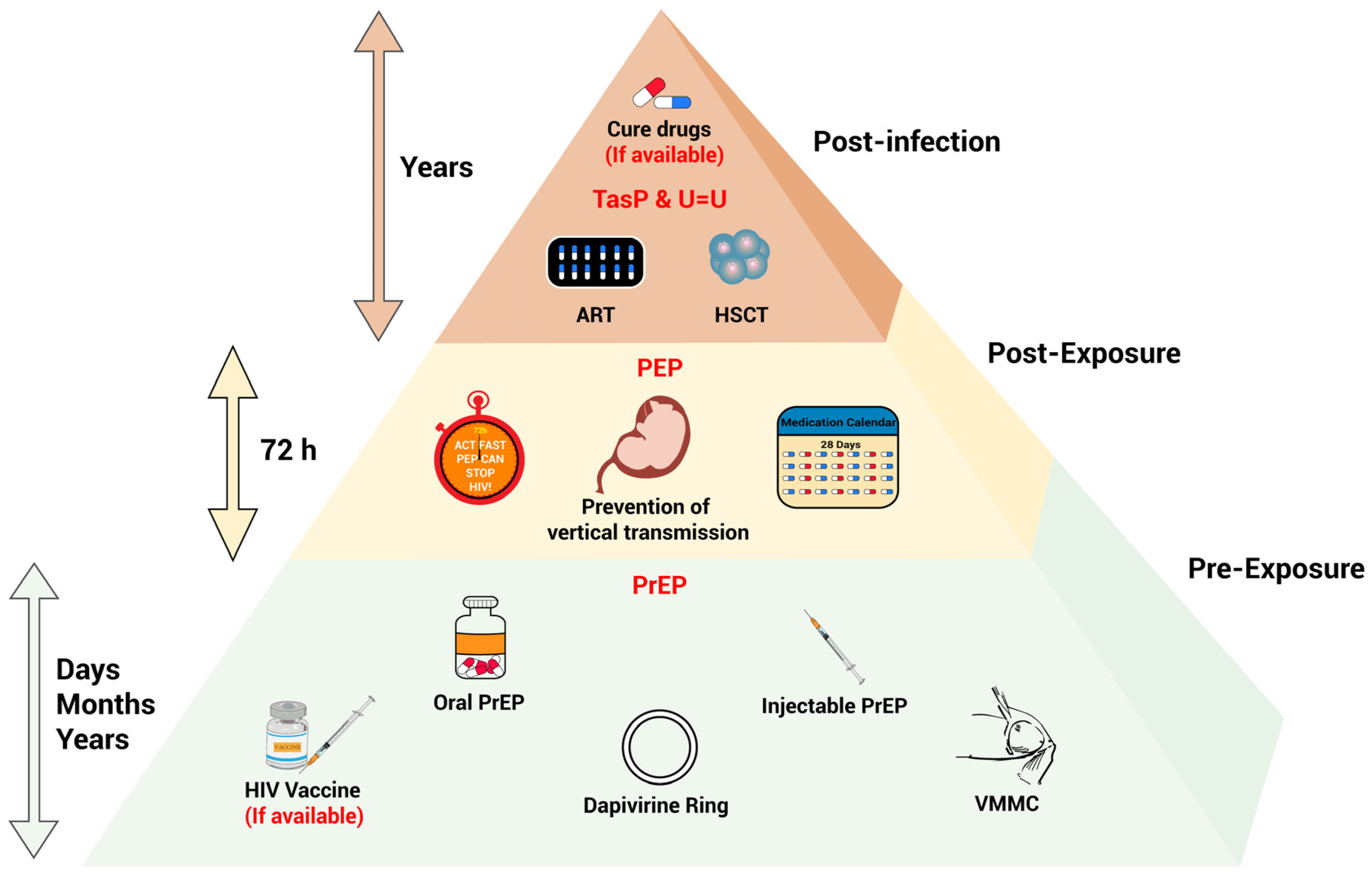Viruses 17 00756 g001 Viruses 17 00756 g001