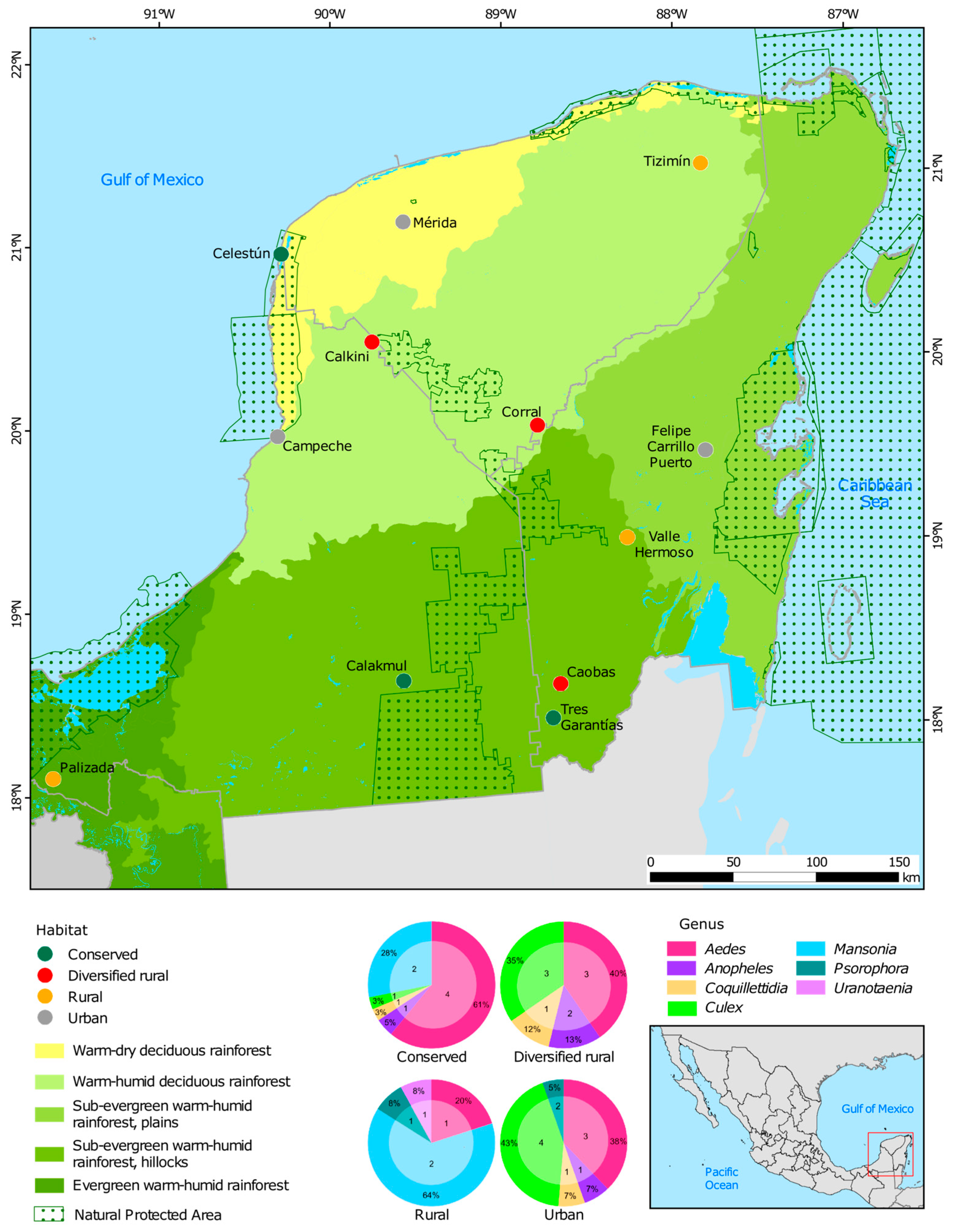 Viruses 17 00758 g001