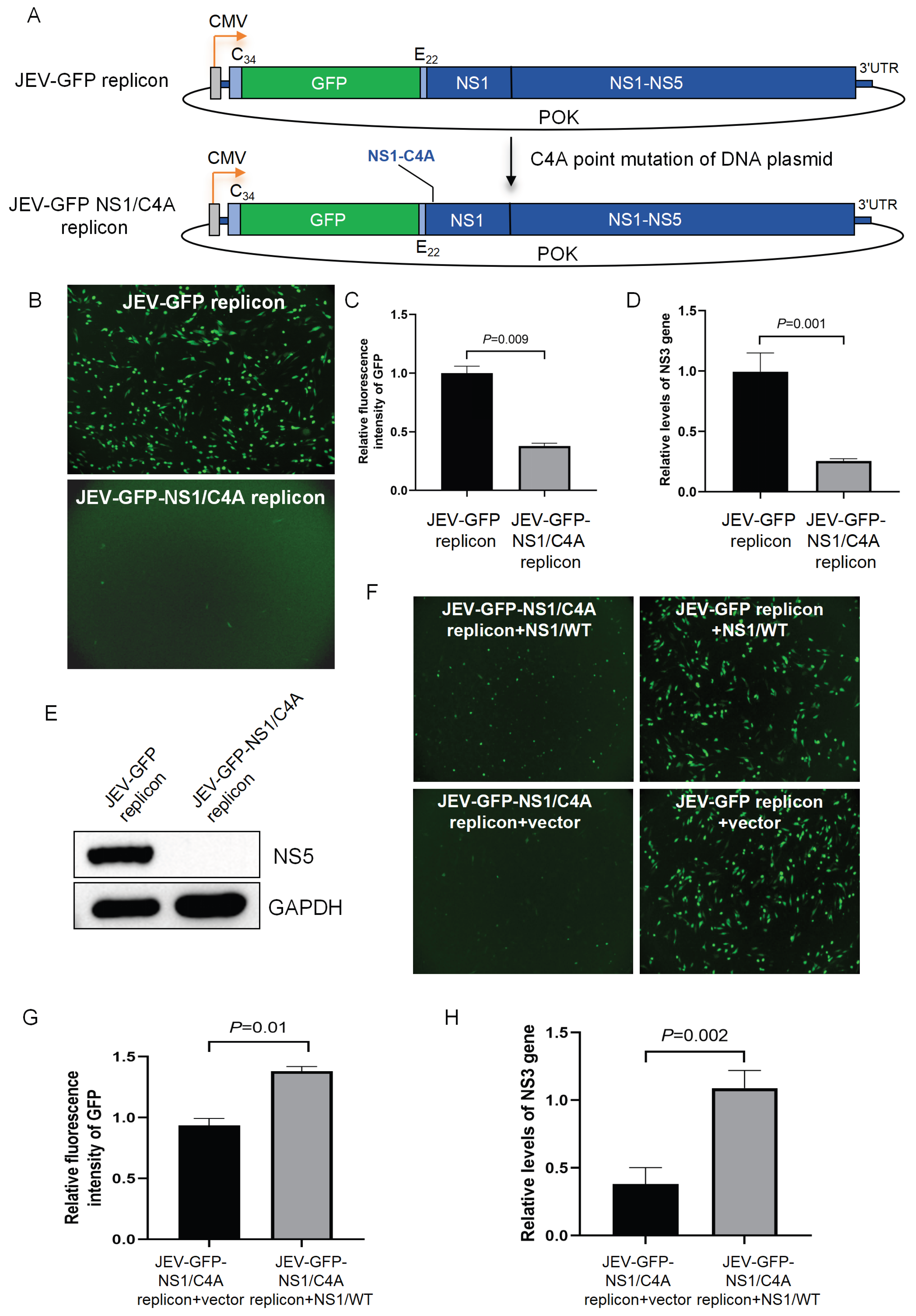 Viruses 17 00759 g005