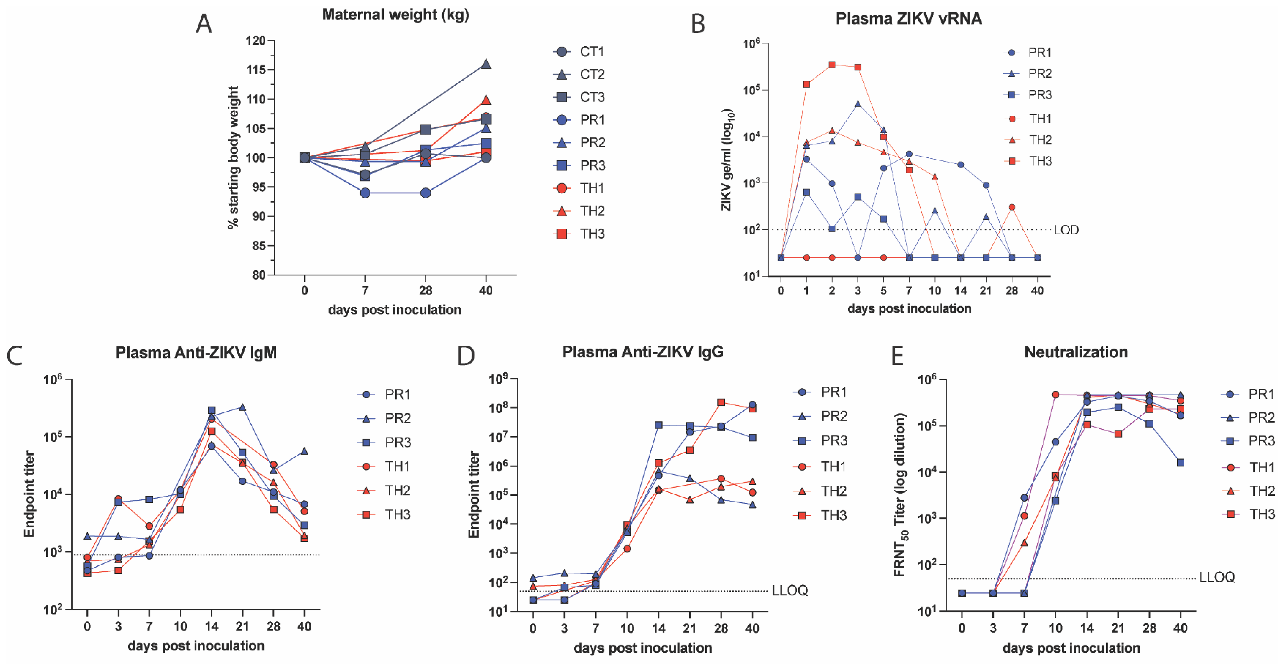 Viruses 17 00762 g002