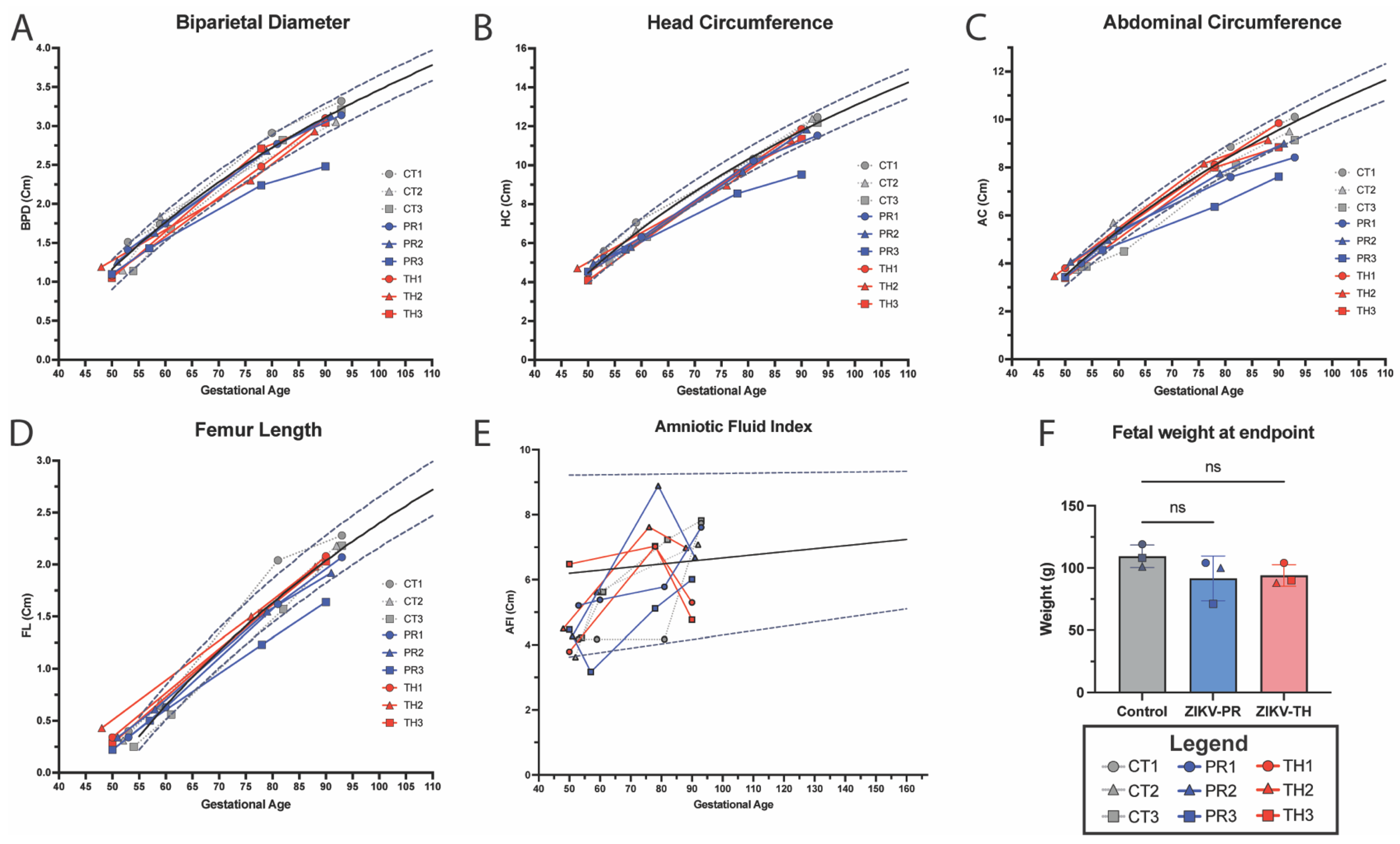 Viruses 17 00762 g004