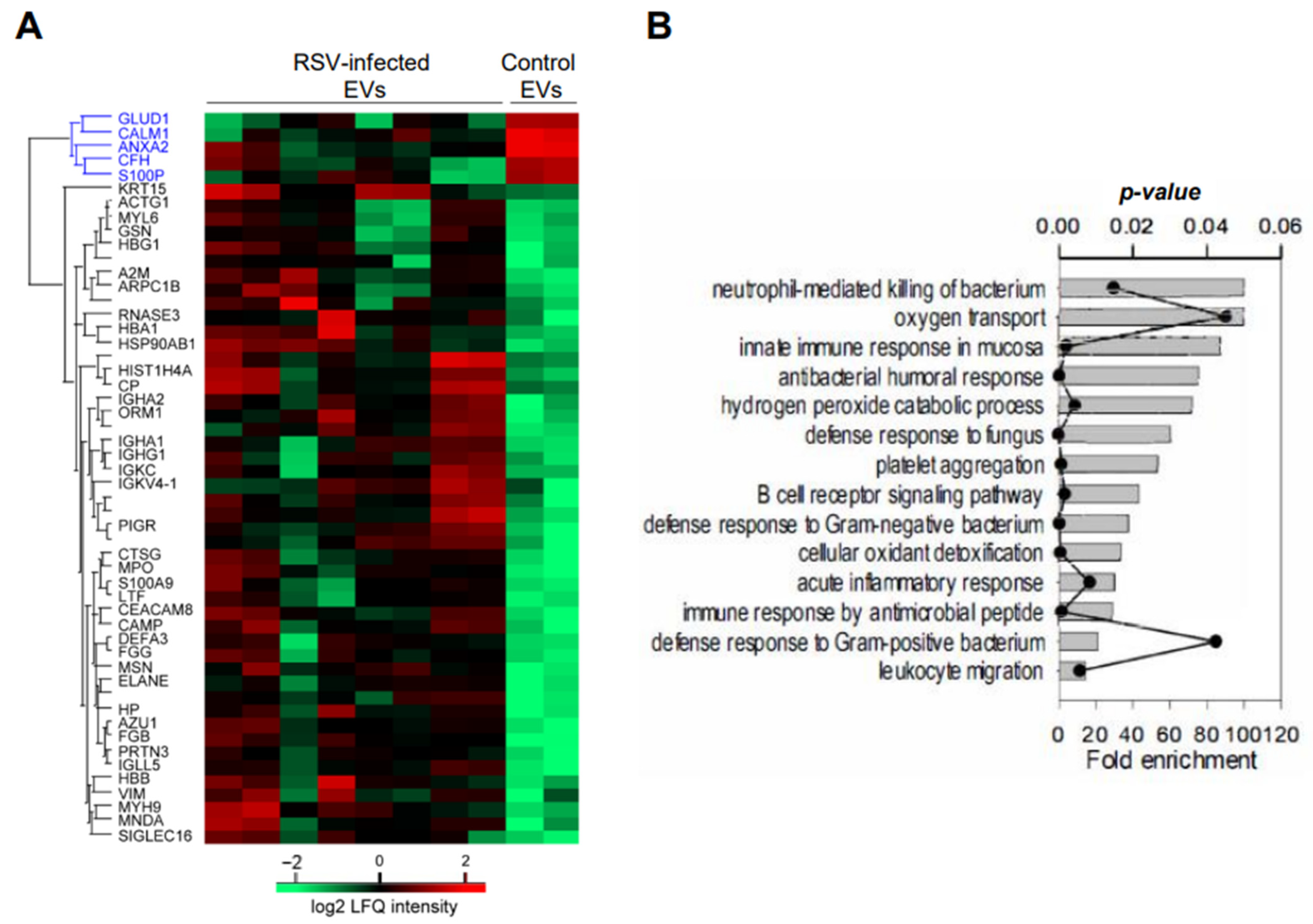 Viruses 17 00764 g006
