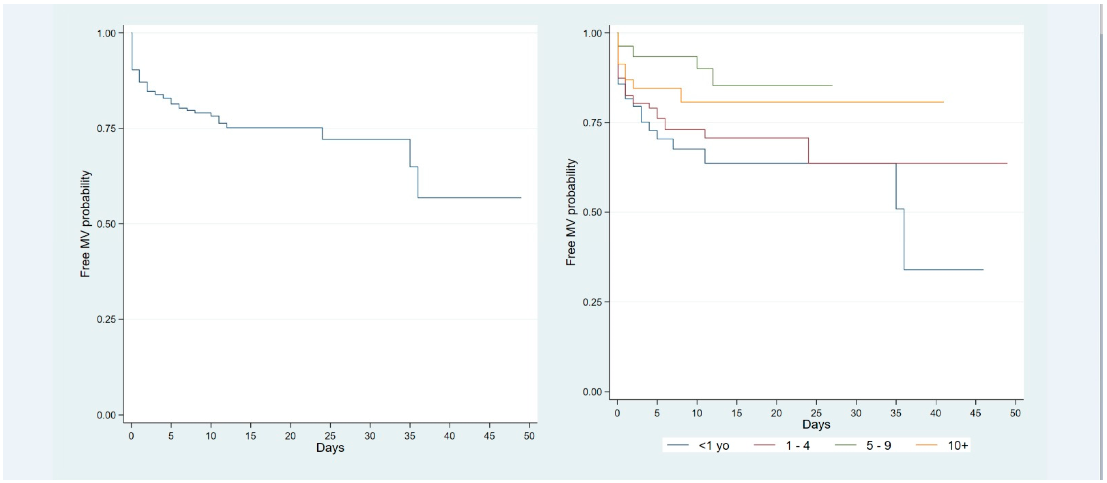 Viruses 17 00771 g004