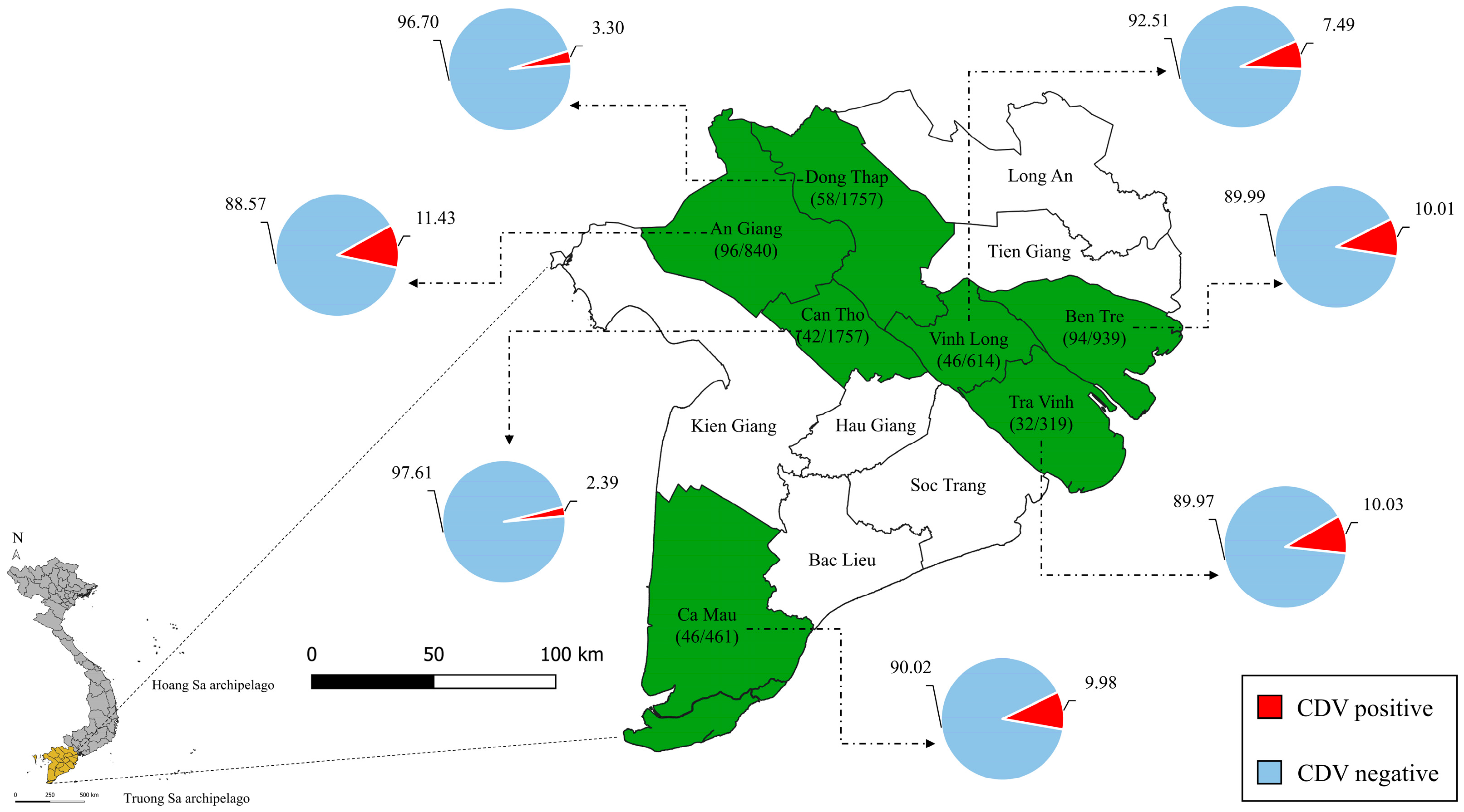 Viruses 17 00781 g001