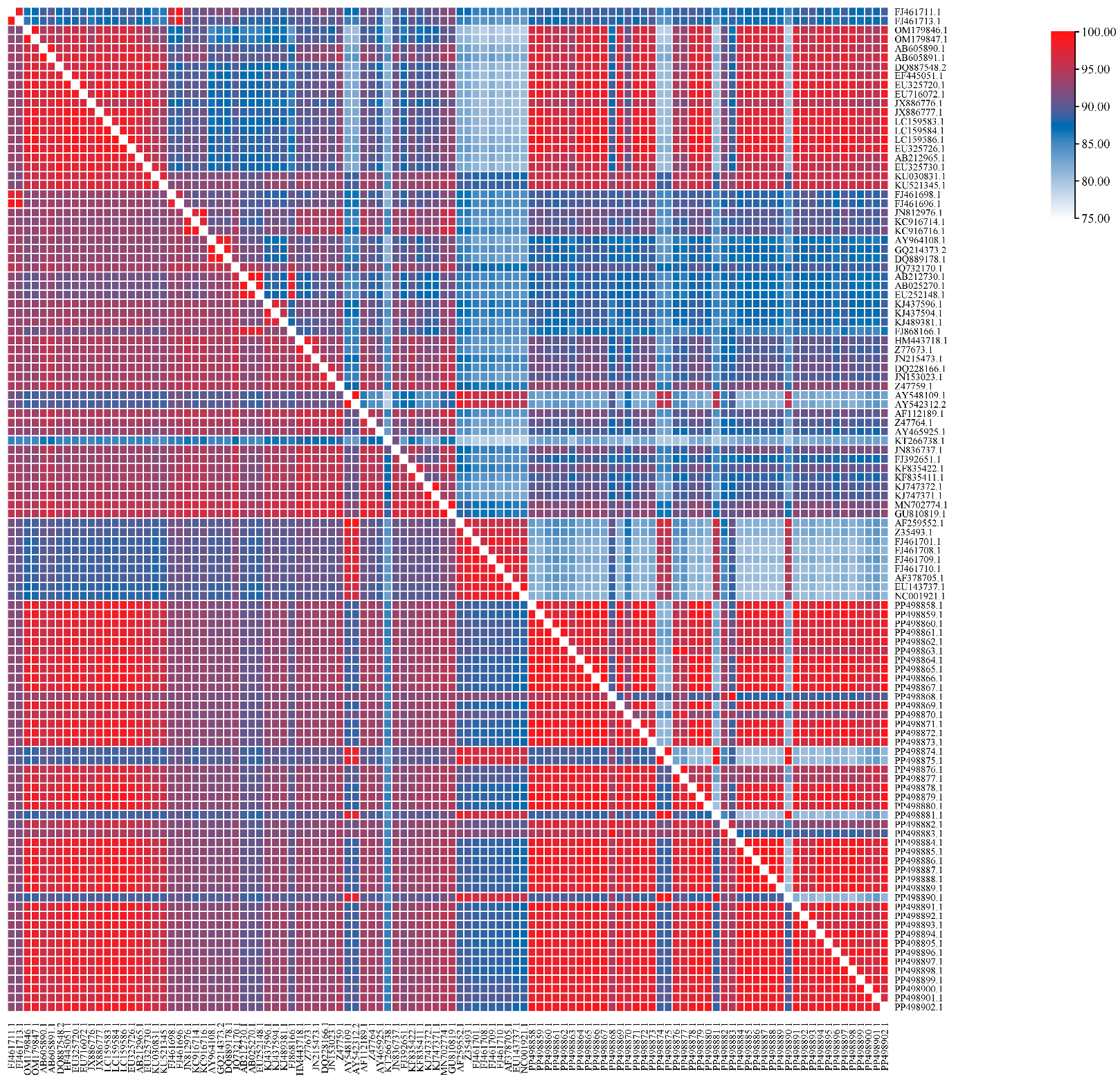Viruses 17 00781 g002