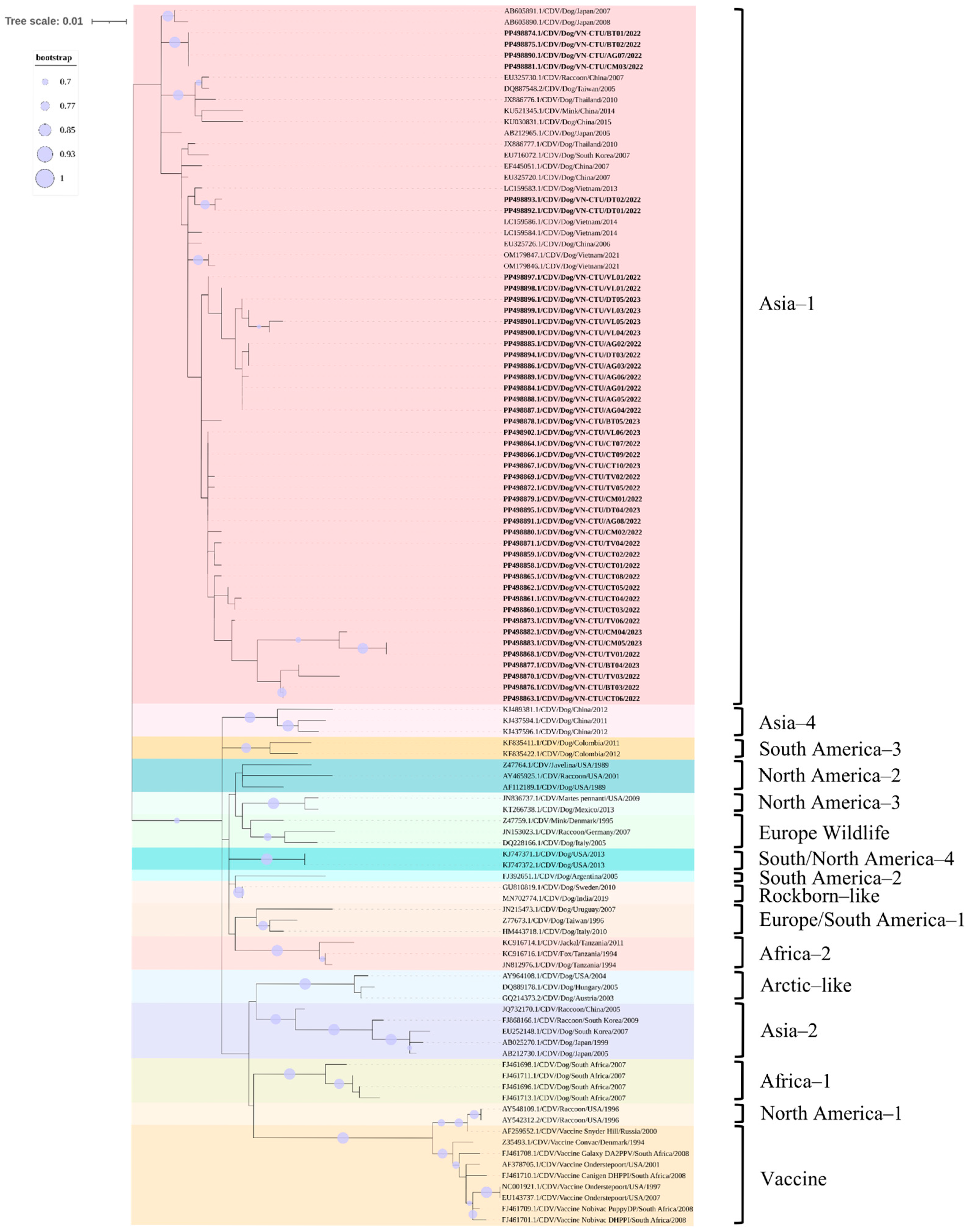 Viruses 17 00781 g004