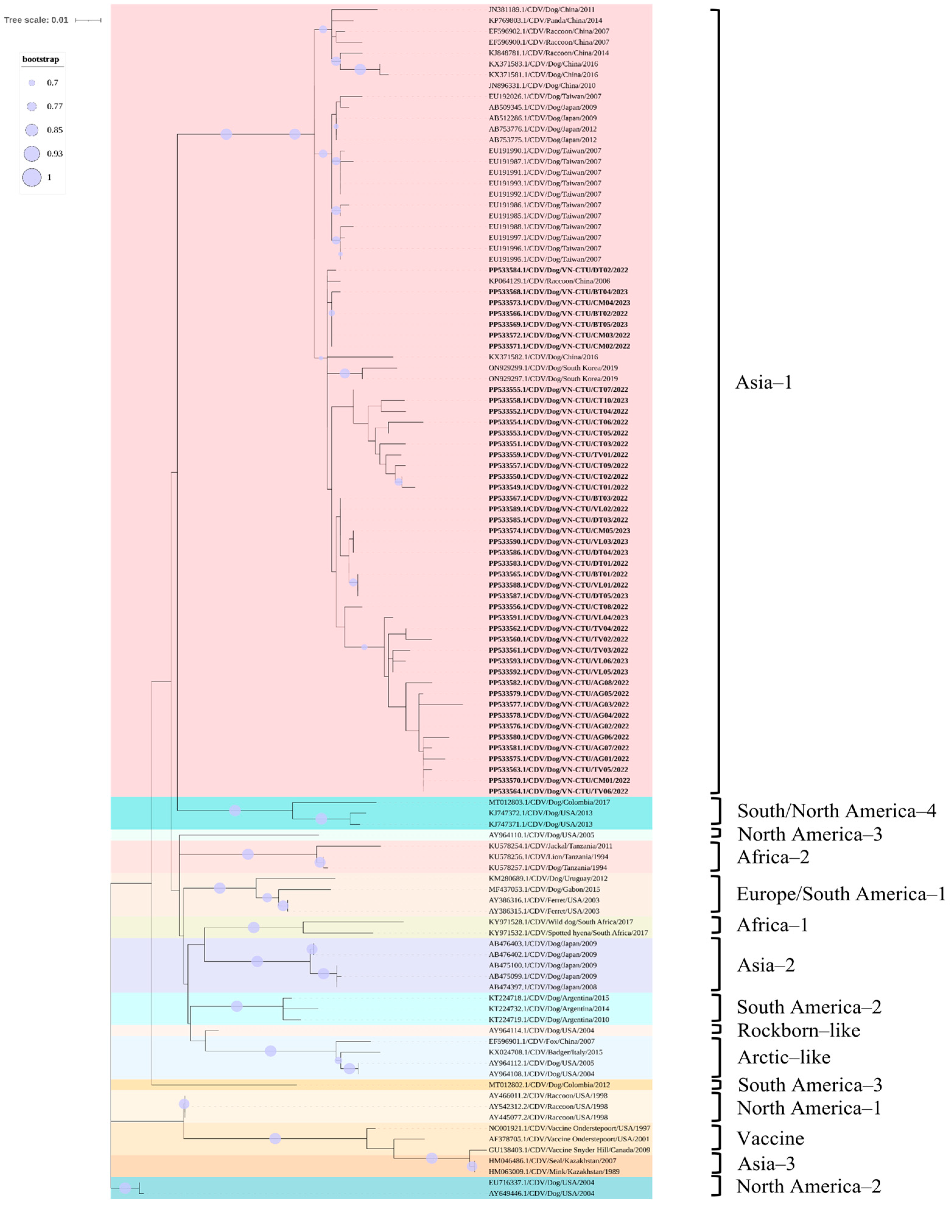 Viruses 17 00781 g005