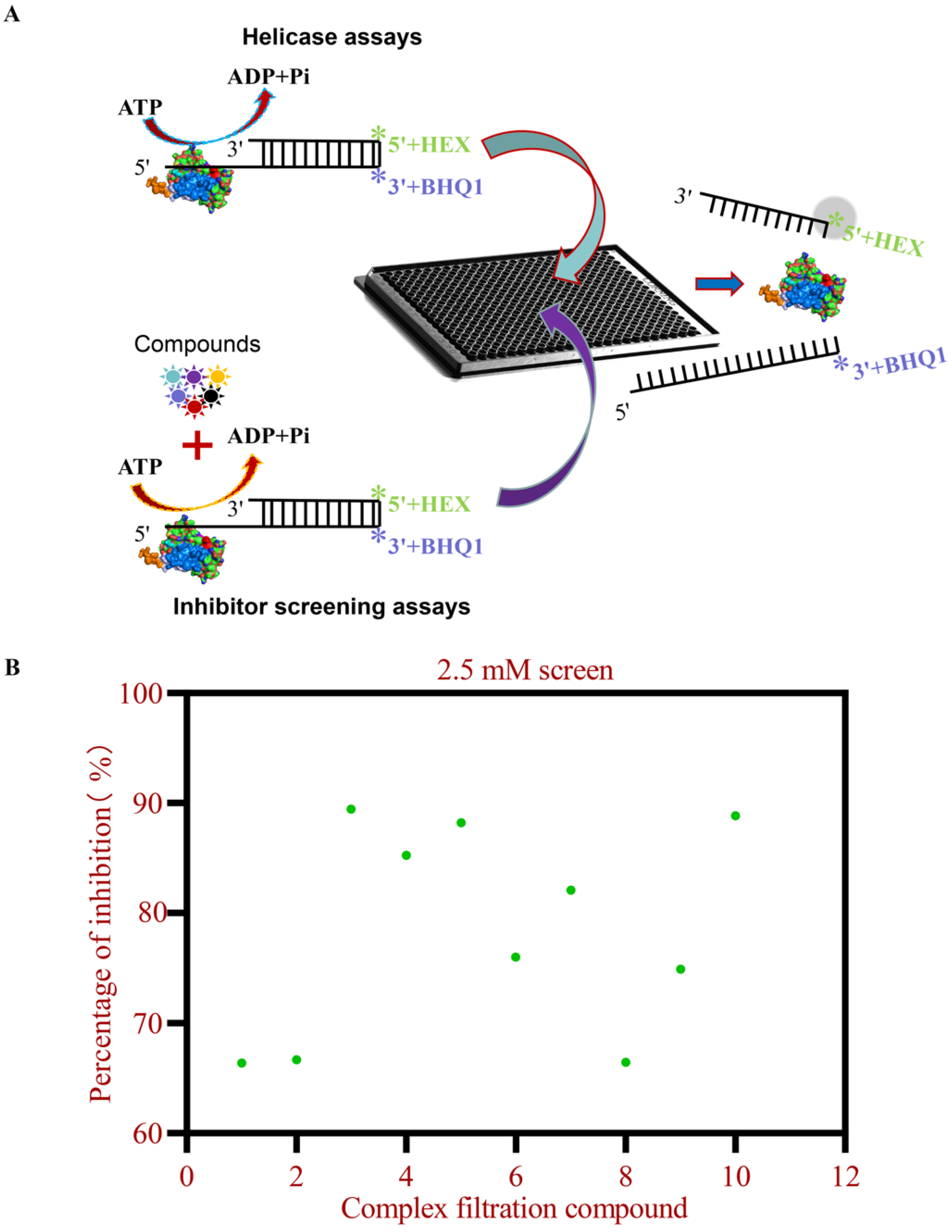 Viruses 17 00785 g002
