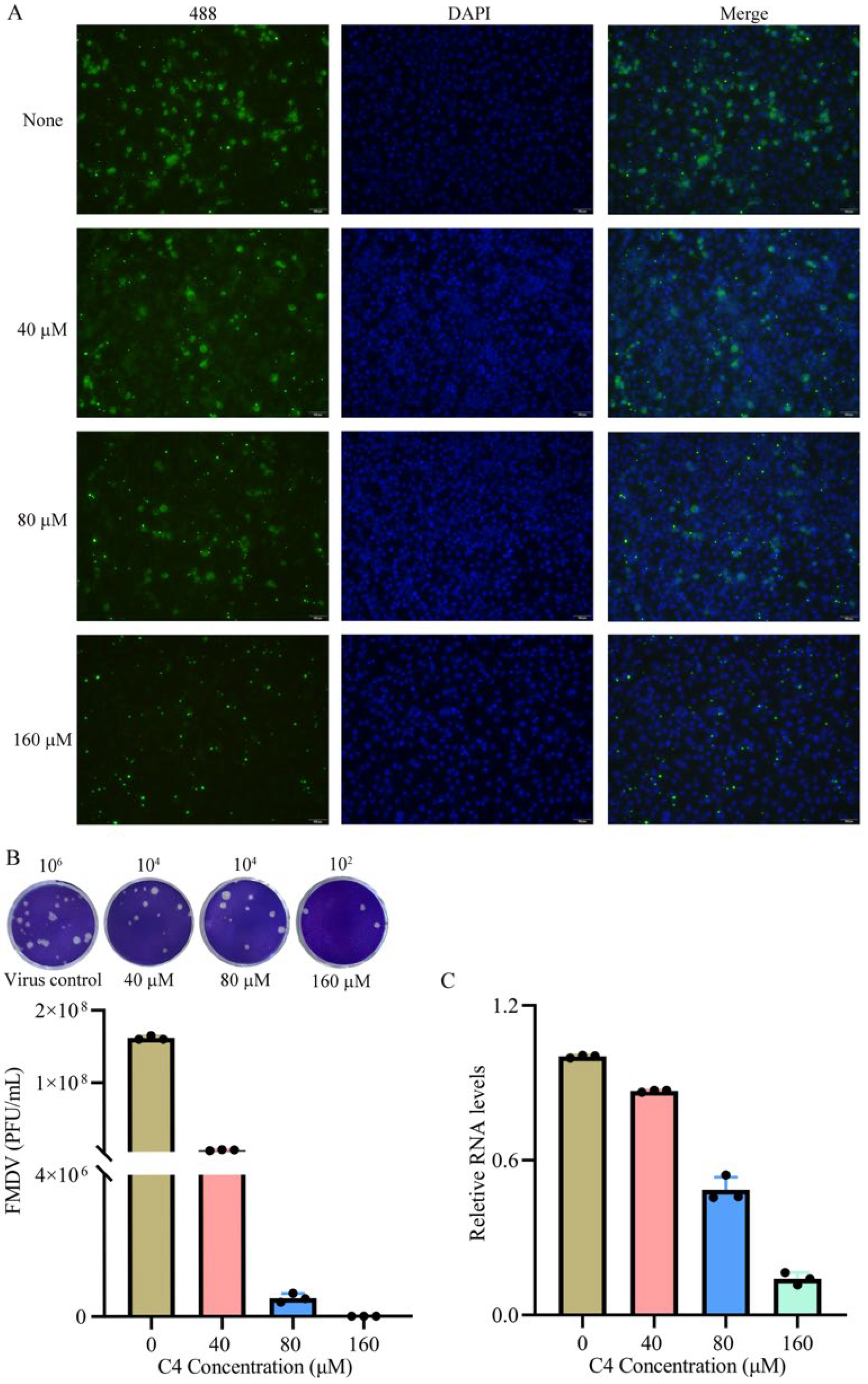 Viruses 17 00785 g007