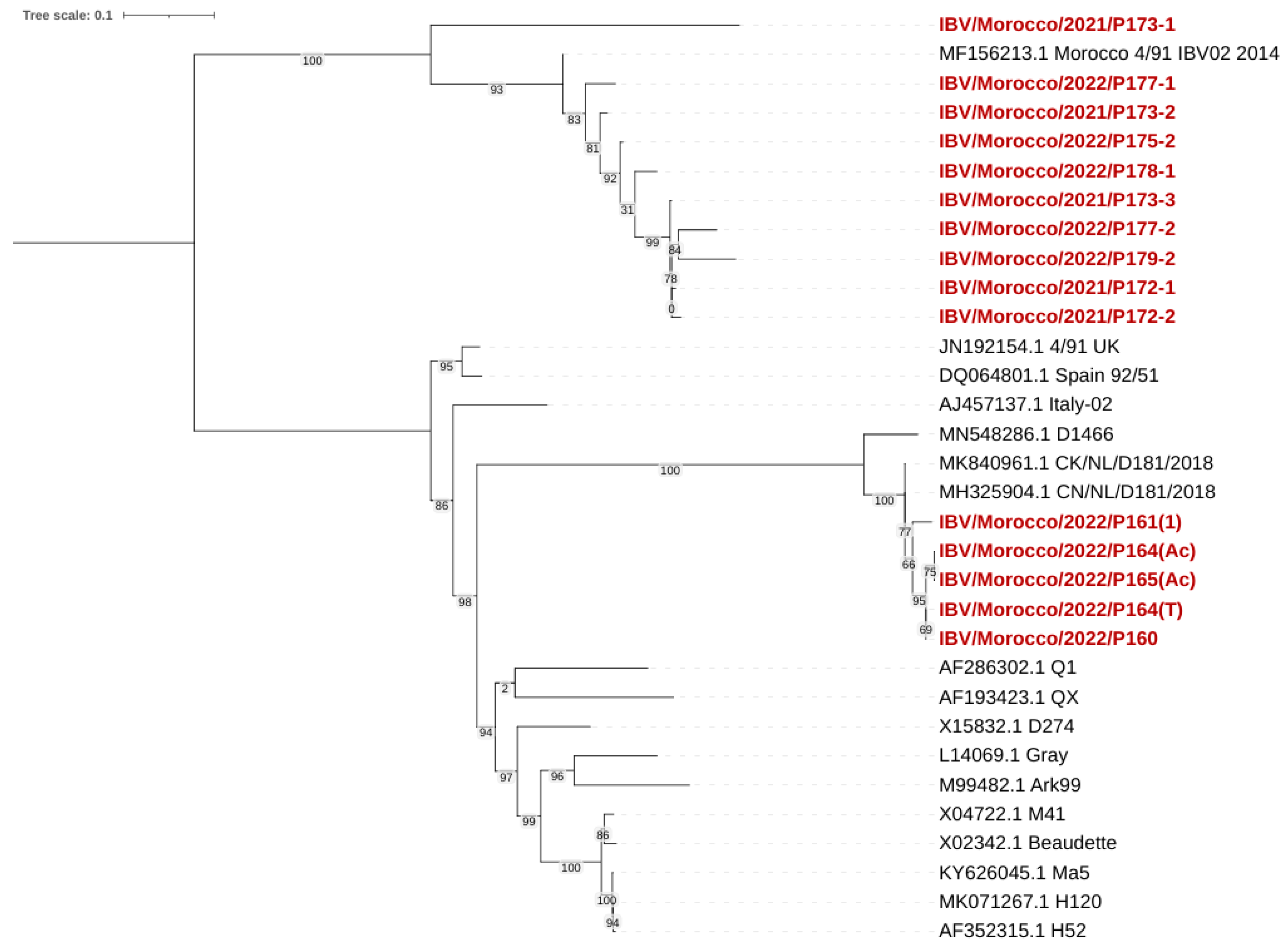 Viruses 17 00786 g005