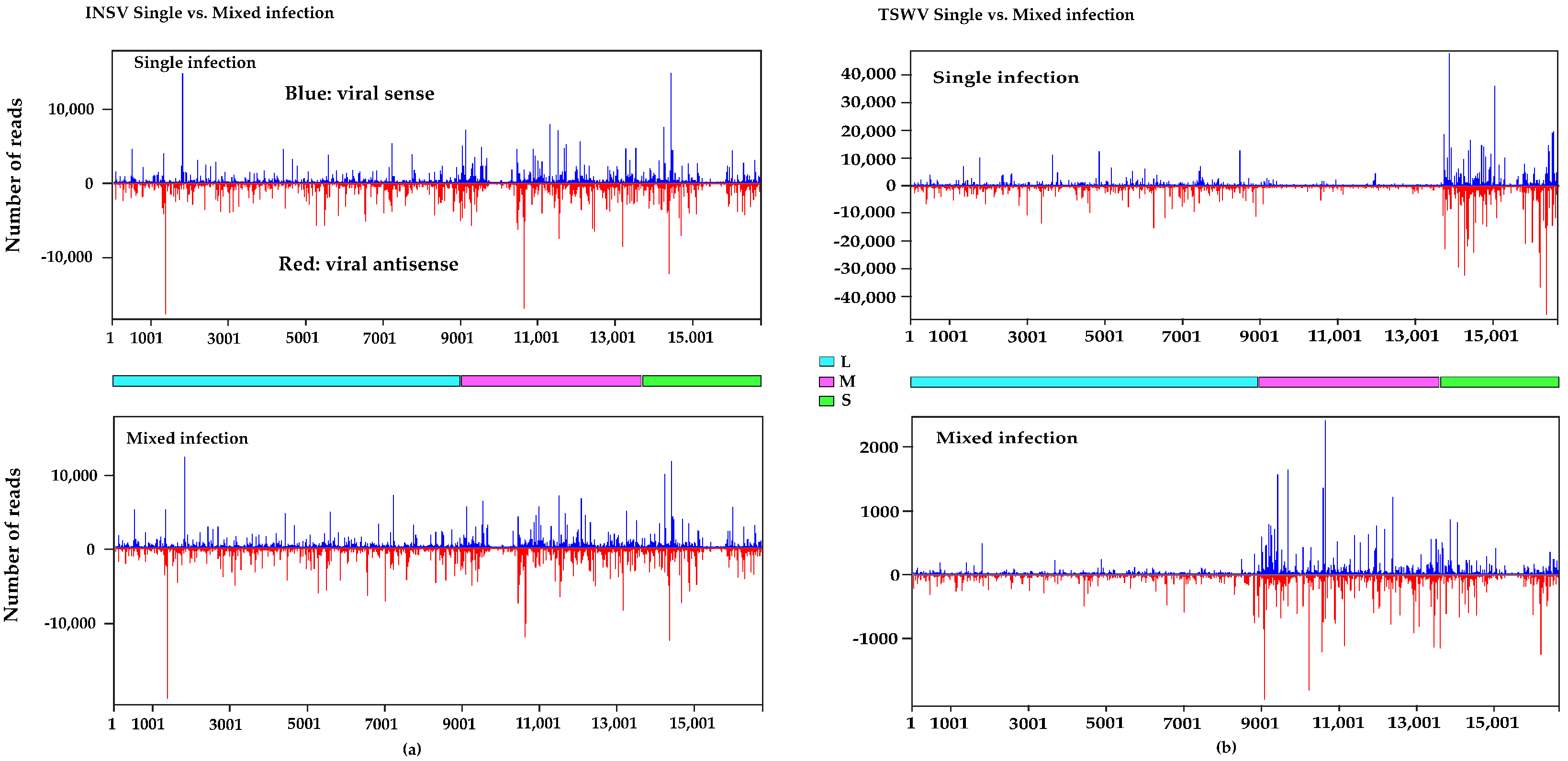 Viruses 17 00789 g004