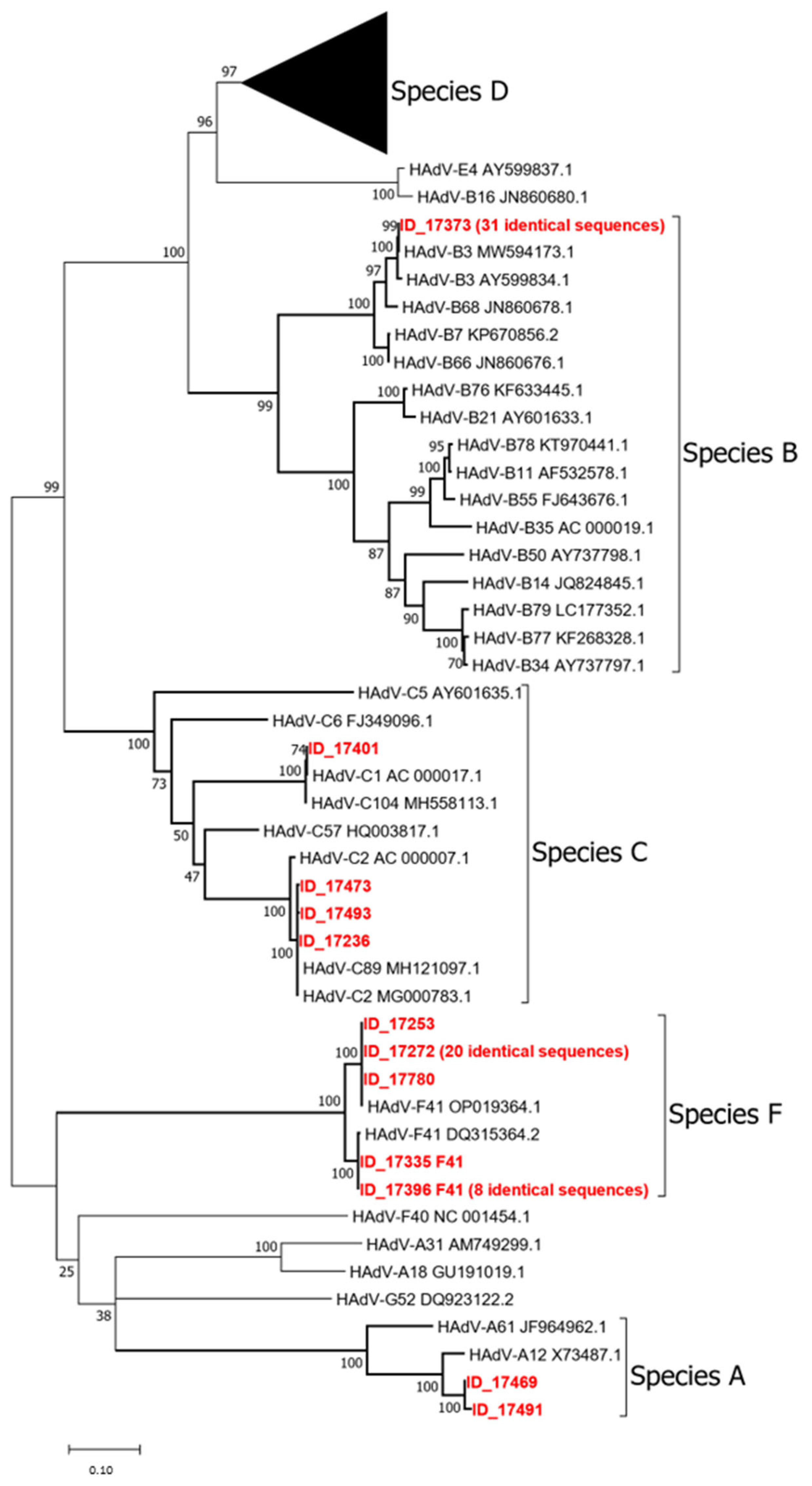 Viruses 17 00791 g002