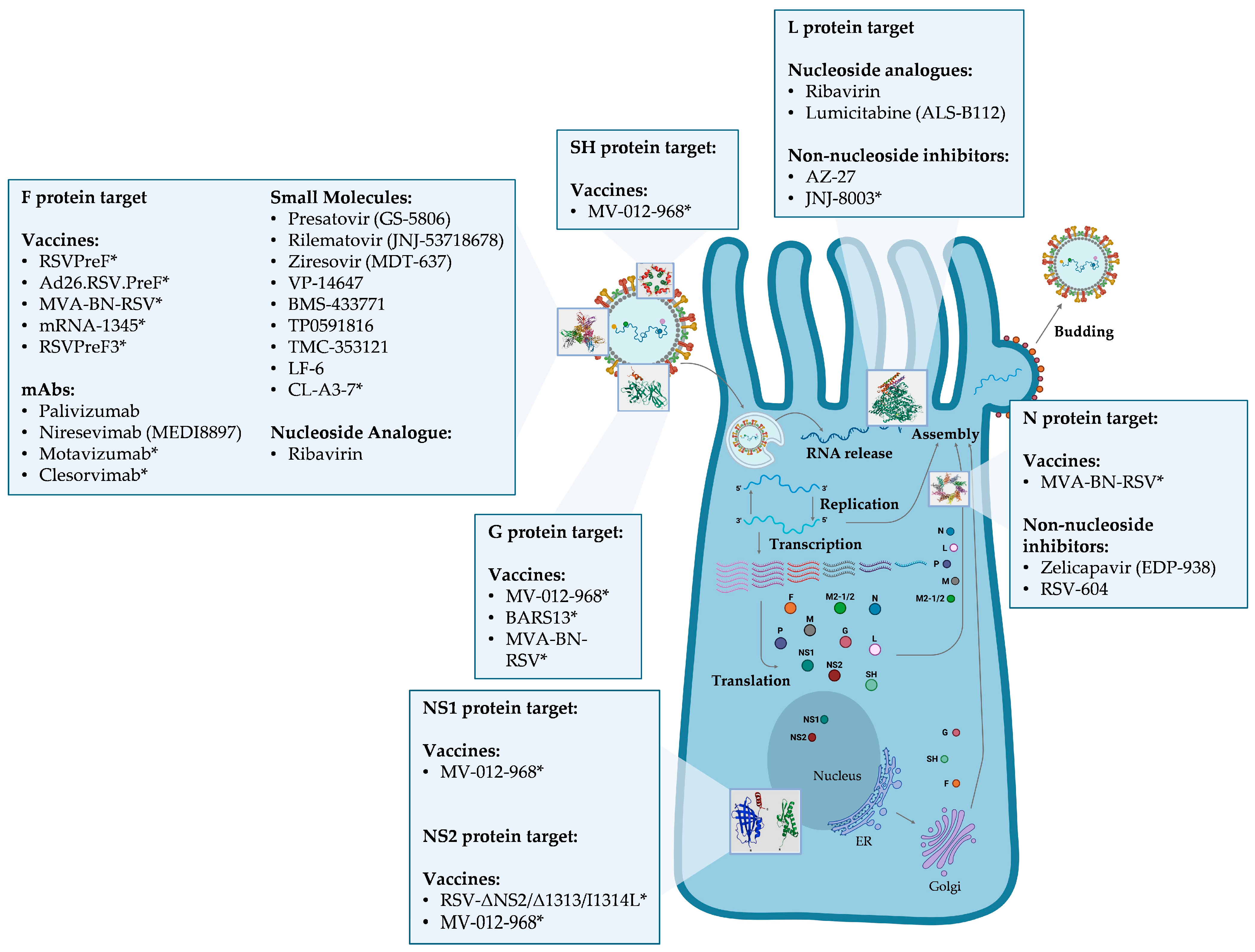 Viruses 17 00793 g002