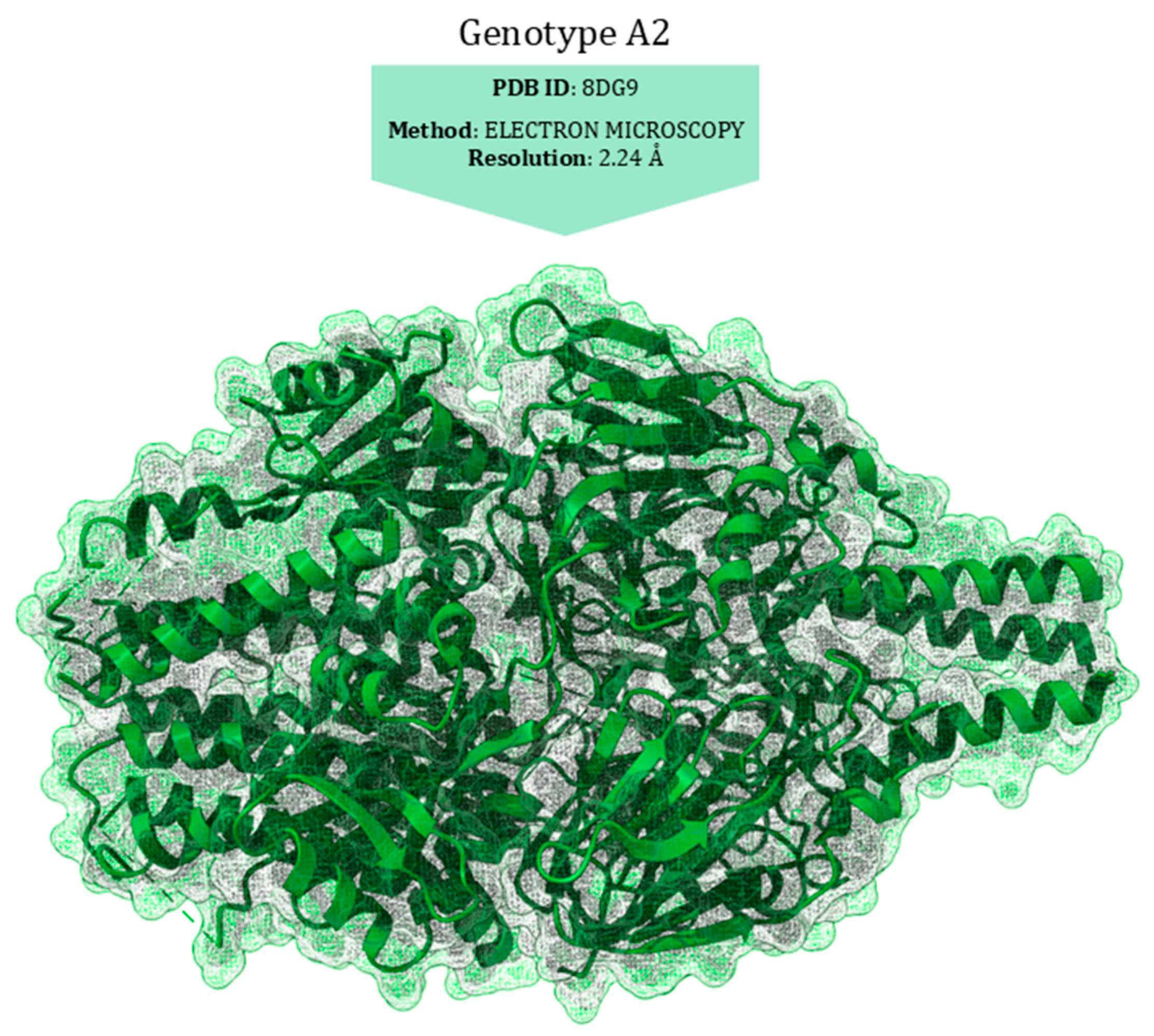 Viruses 17 00793 g003