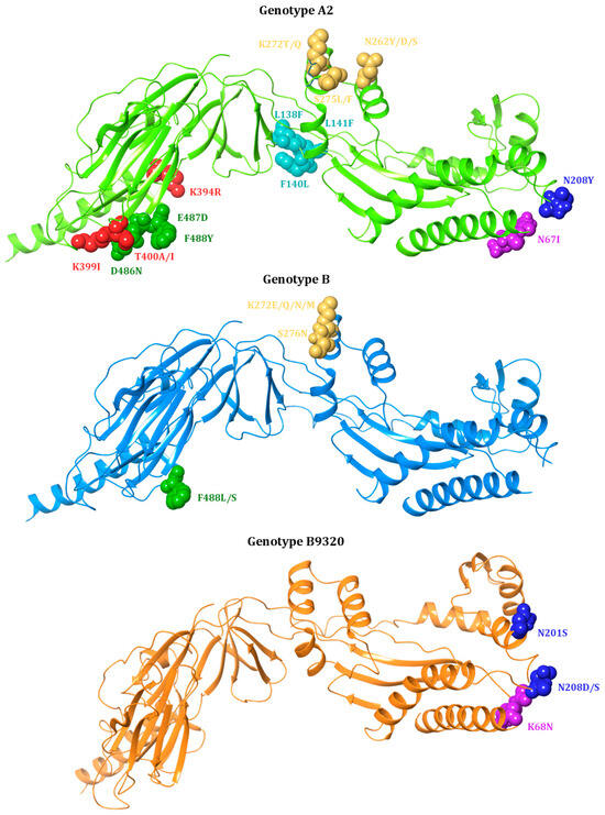 サ ハイグレード超音波厚さ計 ZX6-DL | ダコタ・ジャパン