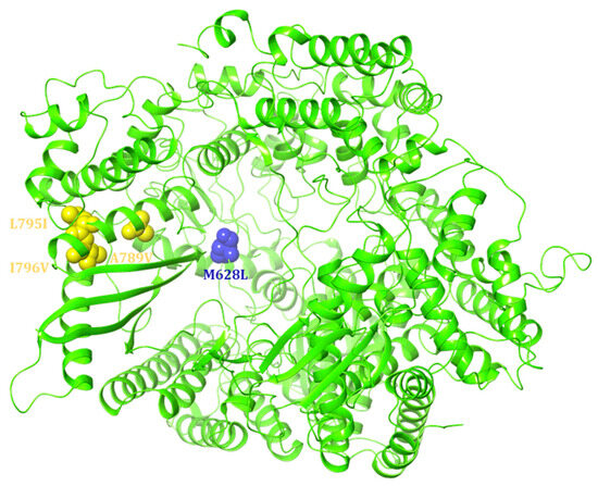 Insights into the Currently Available Drugs and